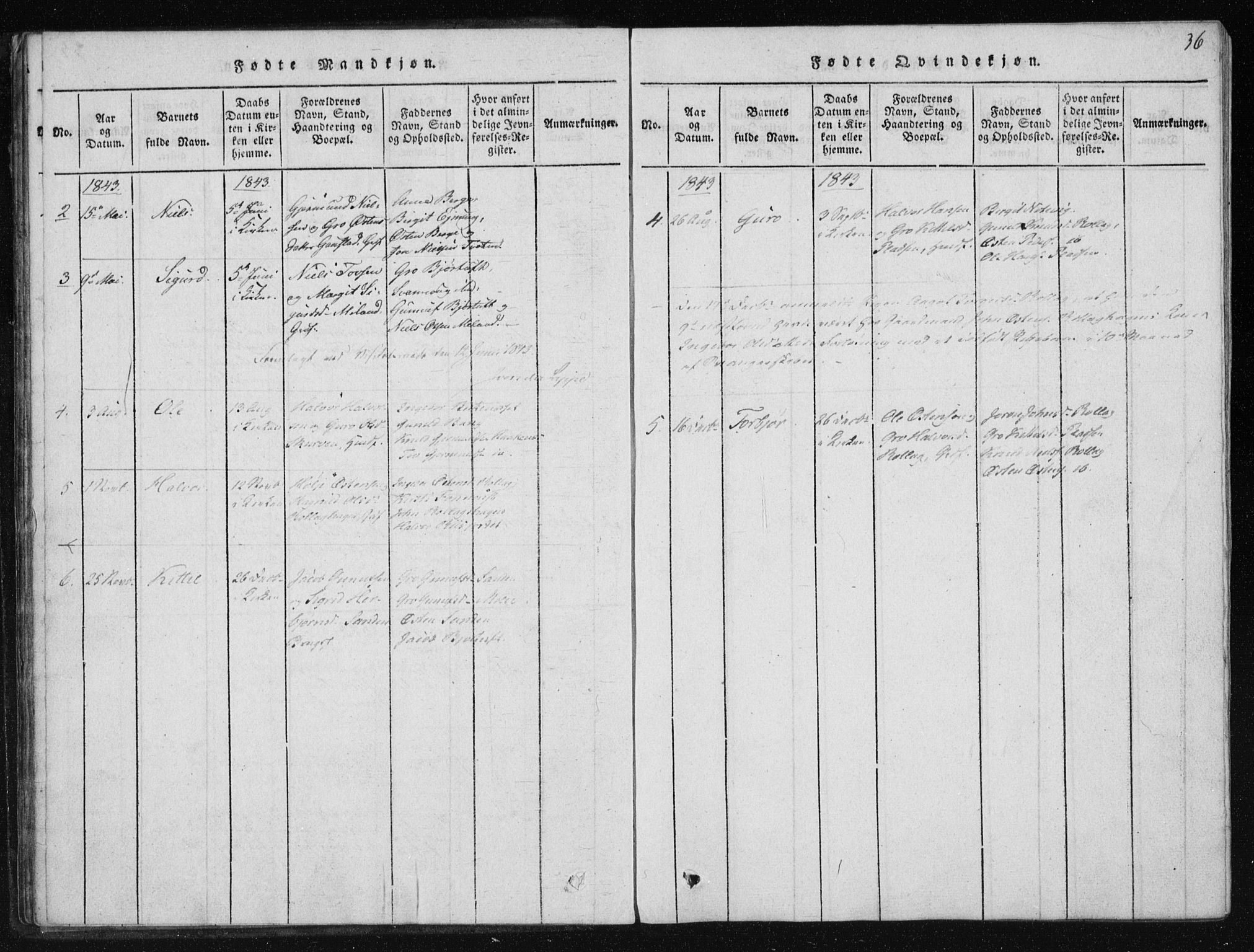 Tinn kirkebøker, SAKO/A-308/F/Fb/L0001: Parish register (official) no. II 1, 1815-1843, p. 36