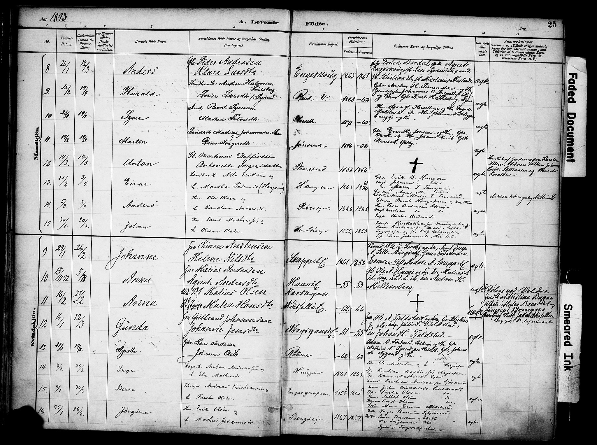 Ringsaker prestekontor, AV/SAH-PREST-014/K/Ka/L0017: Parish register (official) no. 17, 1891-1902, p. 25