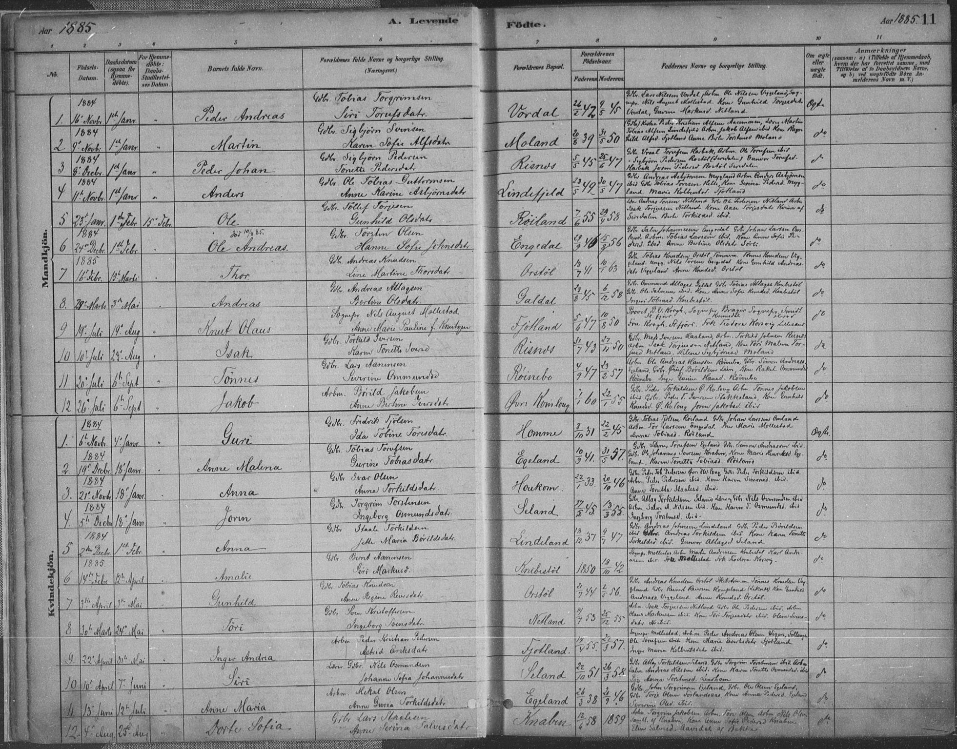 Fjotland sokneprestkontor, SAK/1111-0010/F/Fa/L0002: Parish register (official) no. A 2, 1880-1898, p. 11
