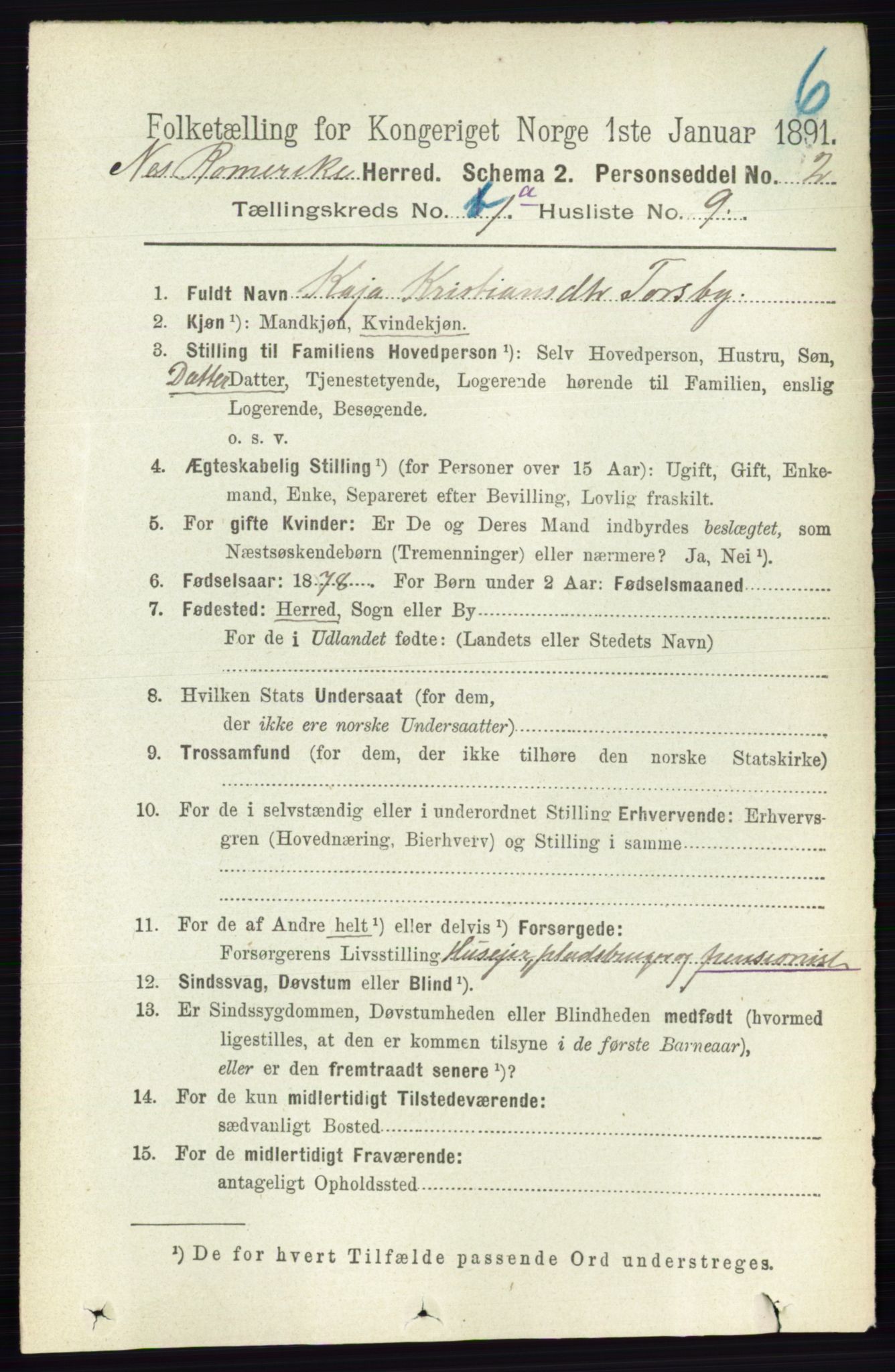 RA, 1891 census for 0236 Nes, 1891, p. 167