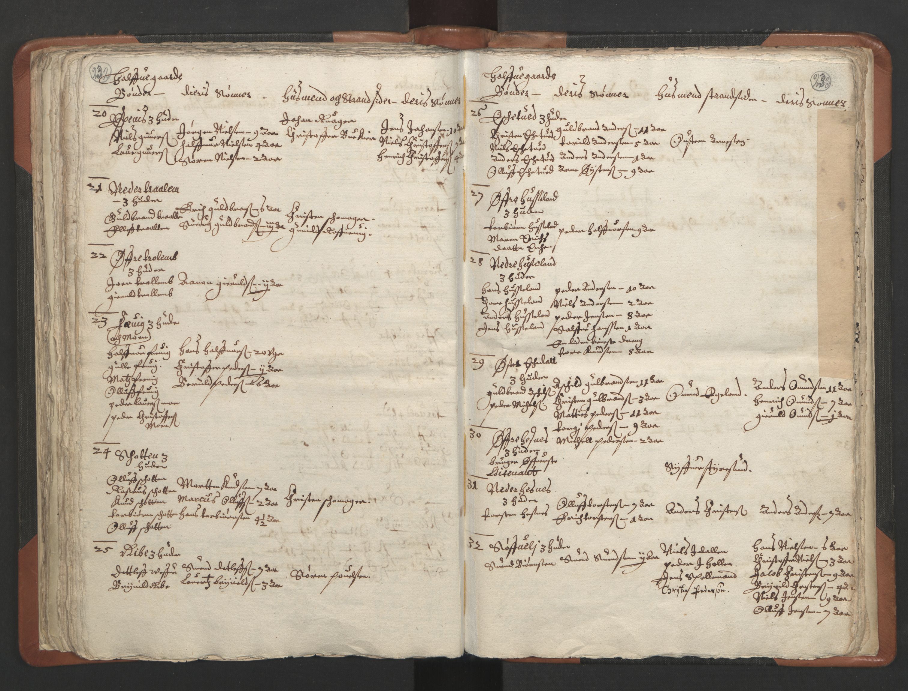 RA, Vicar's Census 1664-1666, no. 13: Nedenes deanery, 1664-1666, p. 232-233