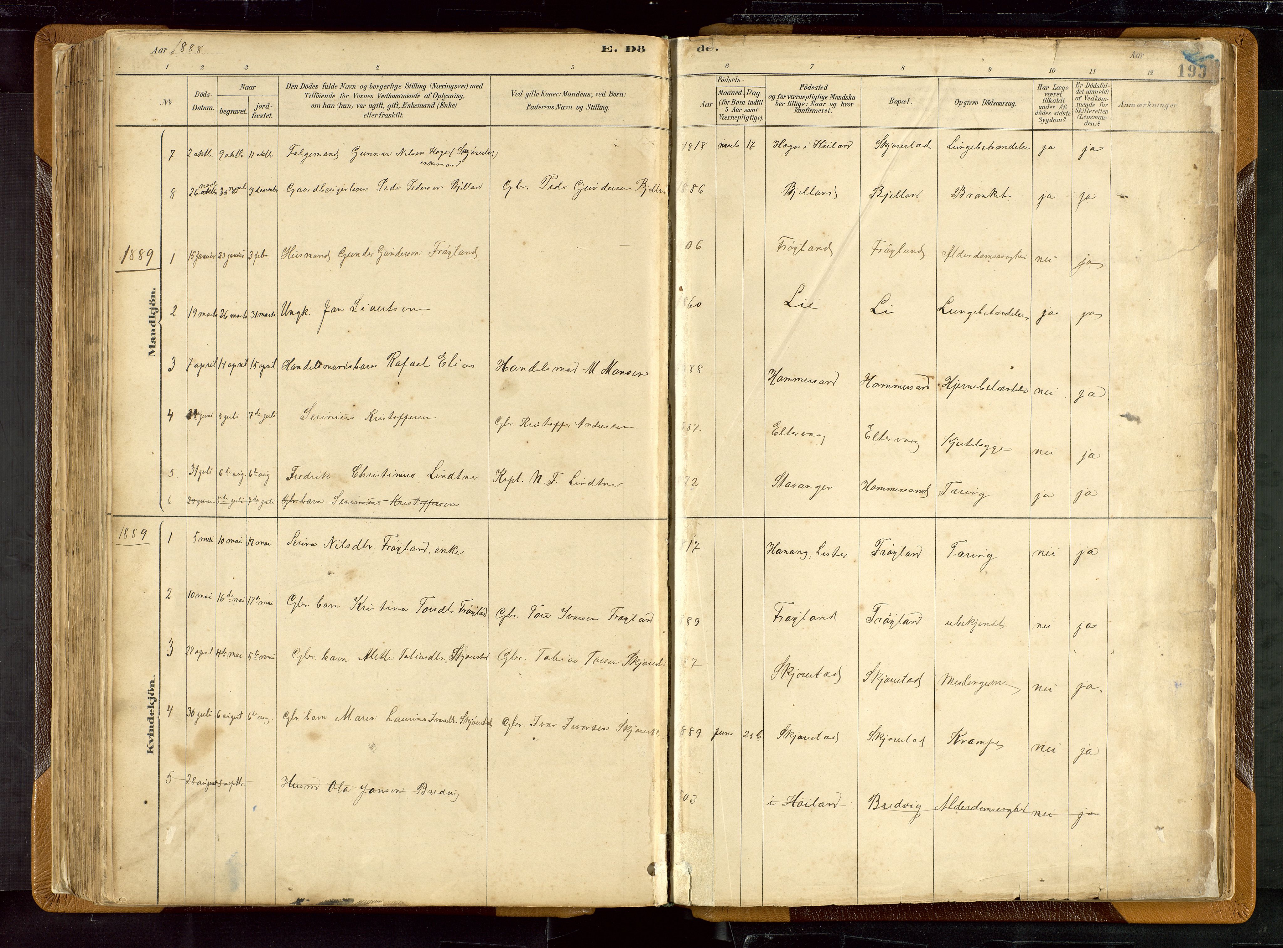 Hetland sokneprestkontor, SAST/A-101826/30/30BB/L0007: Parish register (copy) no. B 7, 1878-1910, p. 199