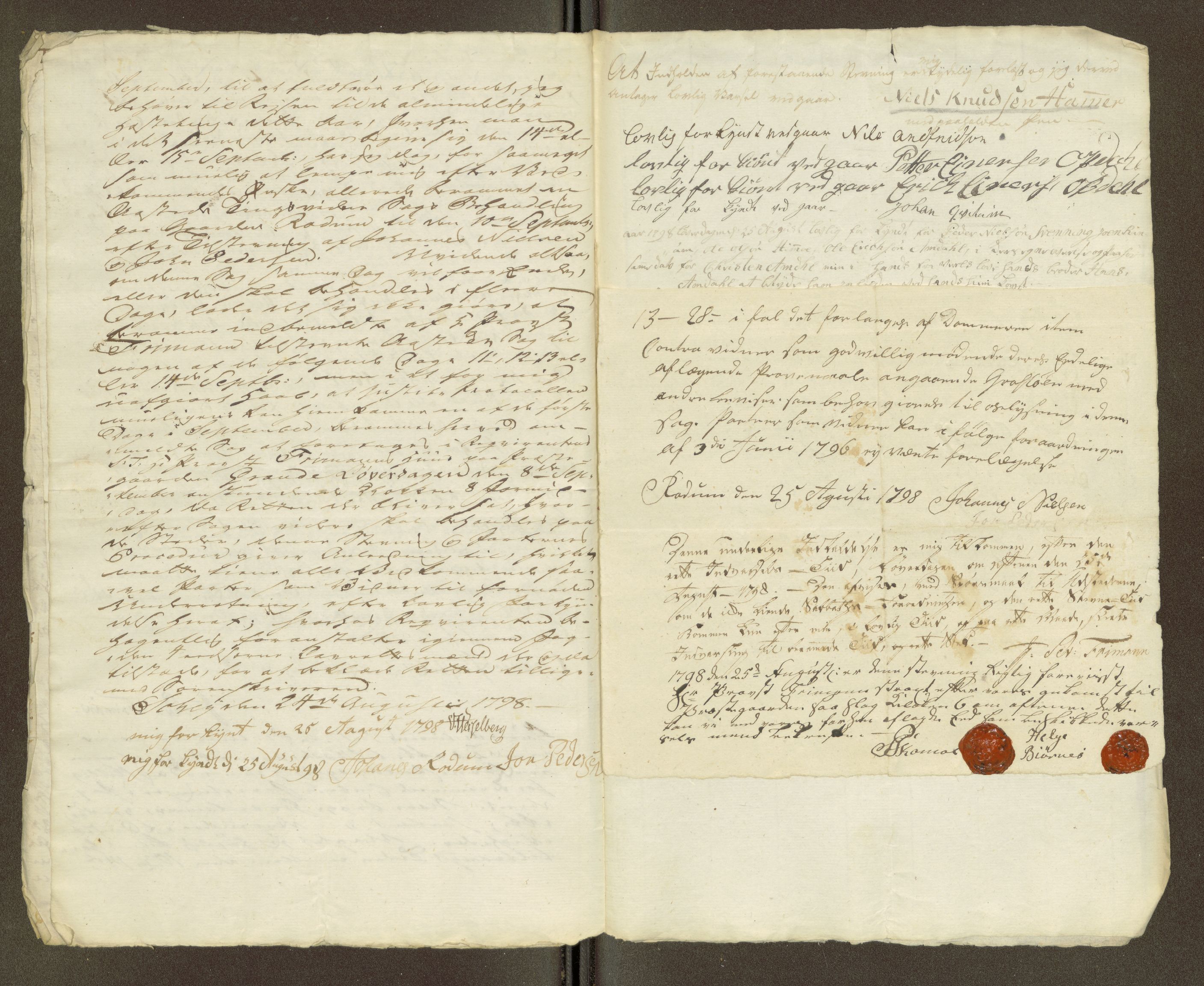 Namdal sorenskriveri, AV/SAT-A-4133/1/1/1O/1Oa/L0007: Sivile og offentlige saker, 1798, p. 377