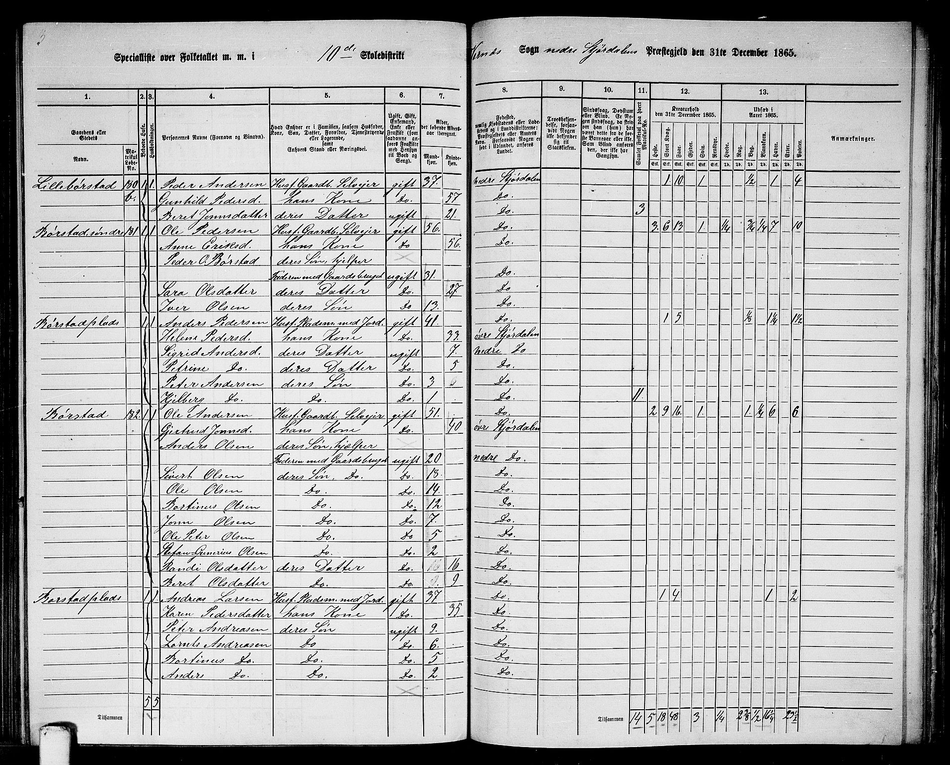 RA, 1865 census for Nedre Stjørdal, 1865, p. 209