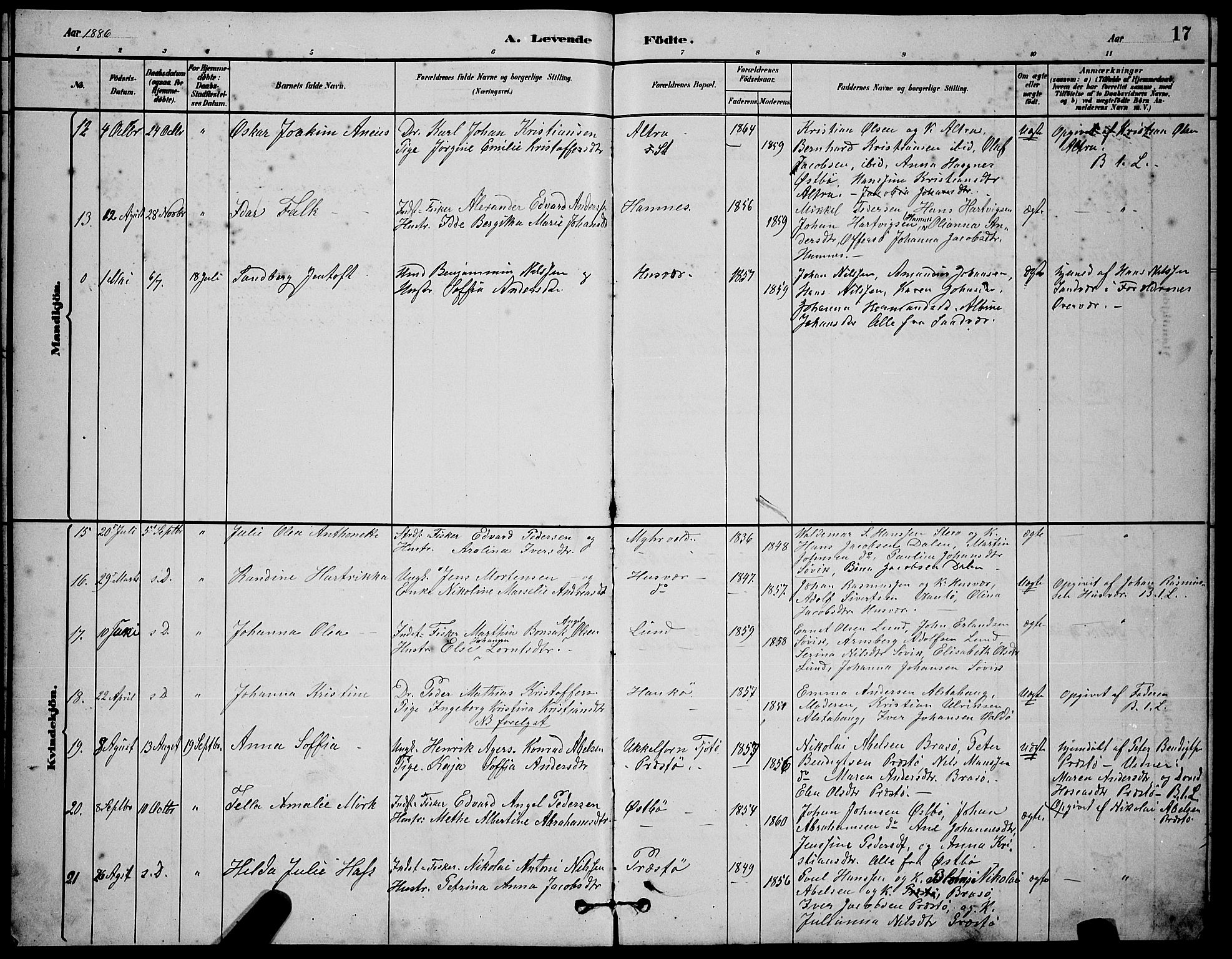 Ministerialprotokoller, klokkerbøker og fødselsregistre - Nordland, AV/SAT-A-1459/830/L0462: Parish register (copy) no. 830C04, 1882-1895, p. 17