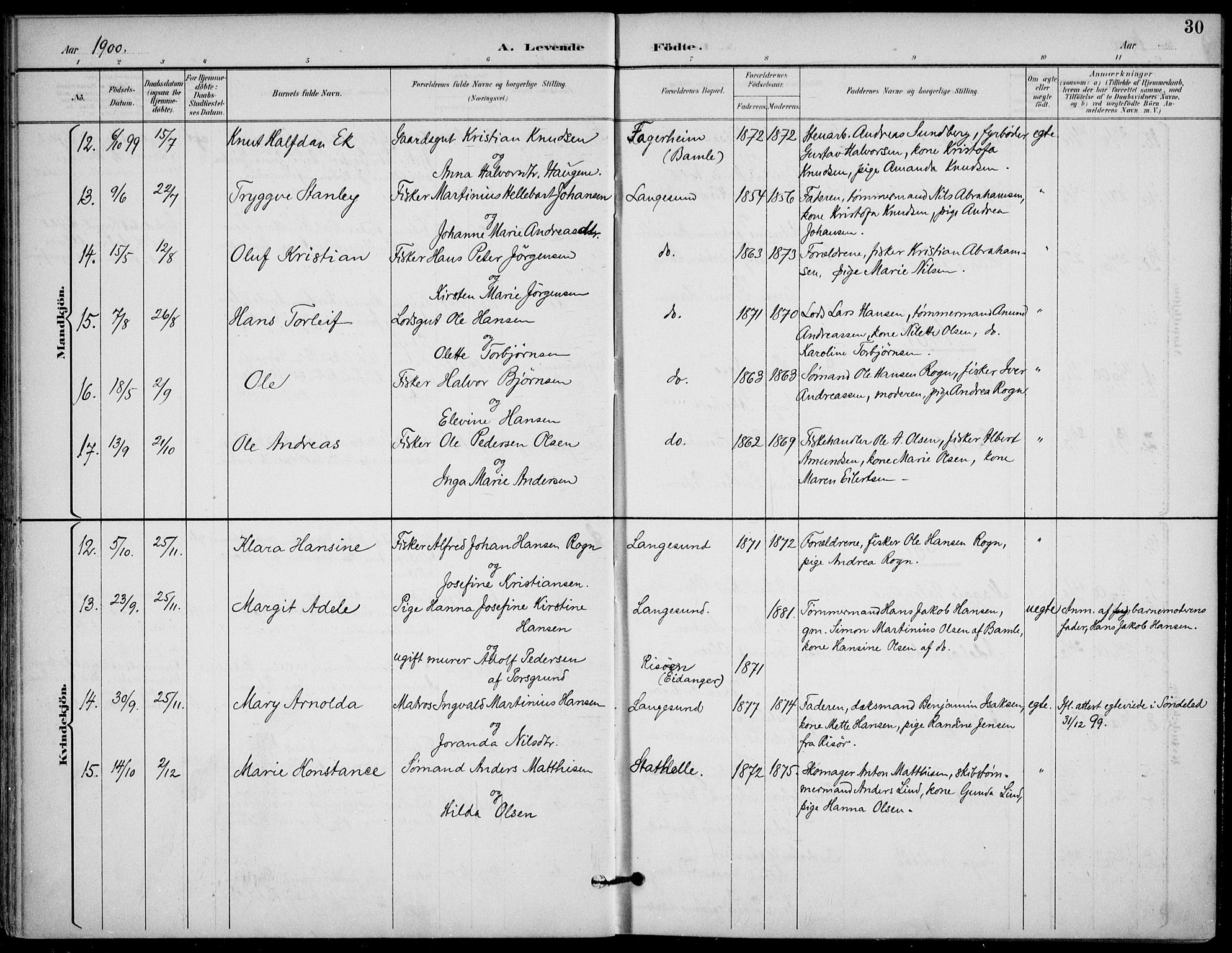 Langesund kirkebøker, AV/SAKO-A-280/F/Fa/L0003: Parish register (official) no. 3, 1893-1907, p. 30