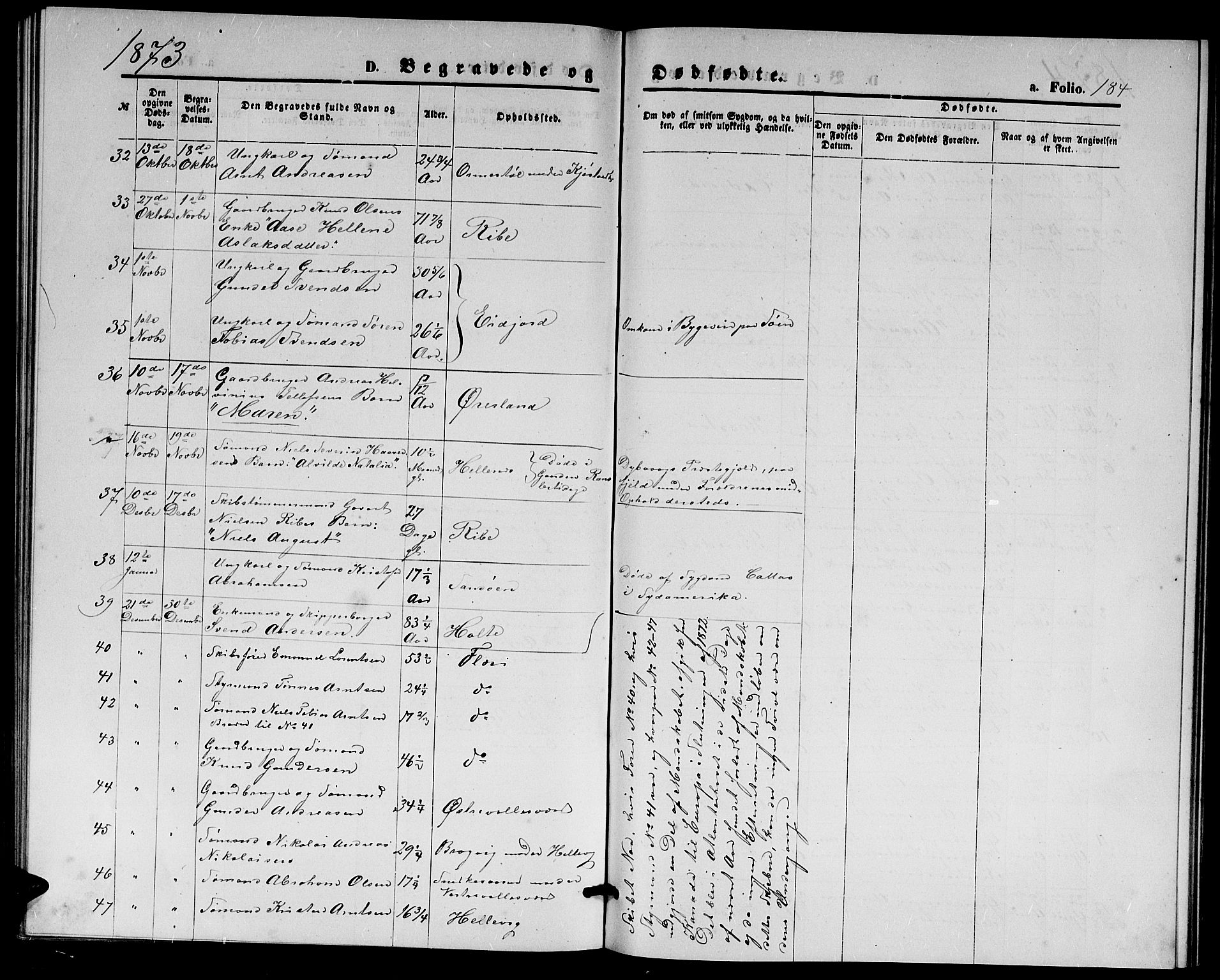 Høvåg sokneprestkontor, AV/SAK-1111-0025/F/Fb/L0003: Parish register (copy) no. B 3, 1870-1882, p. 184