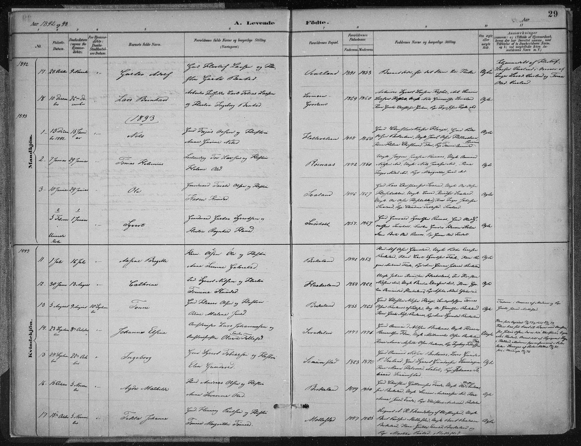 Birkenes sokneprestkontor, SAK/1111-0004/F/Fa/L0005: Parish register (official) no. A 5, 1887-1907, p. 29