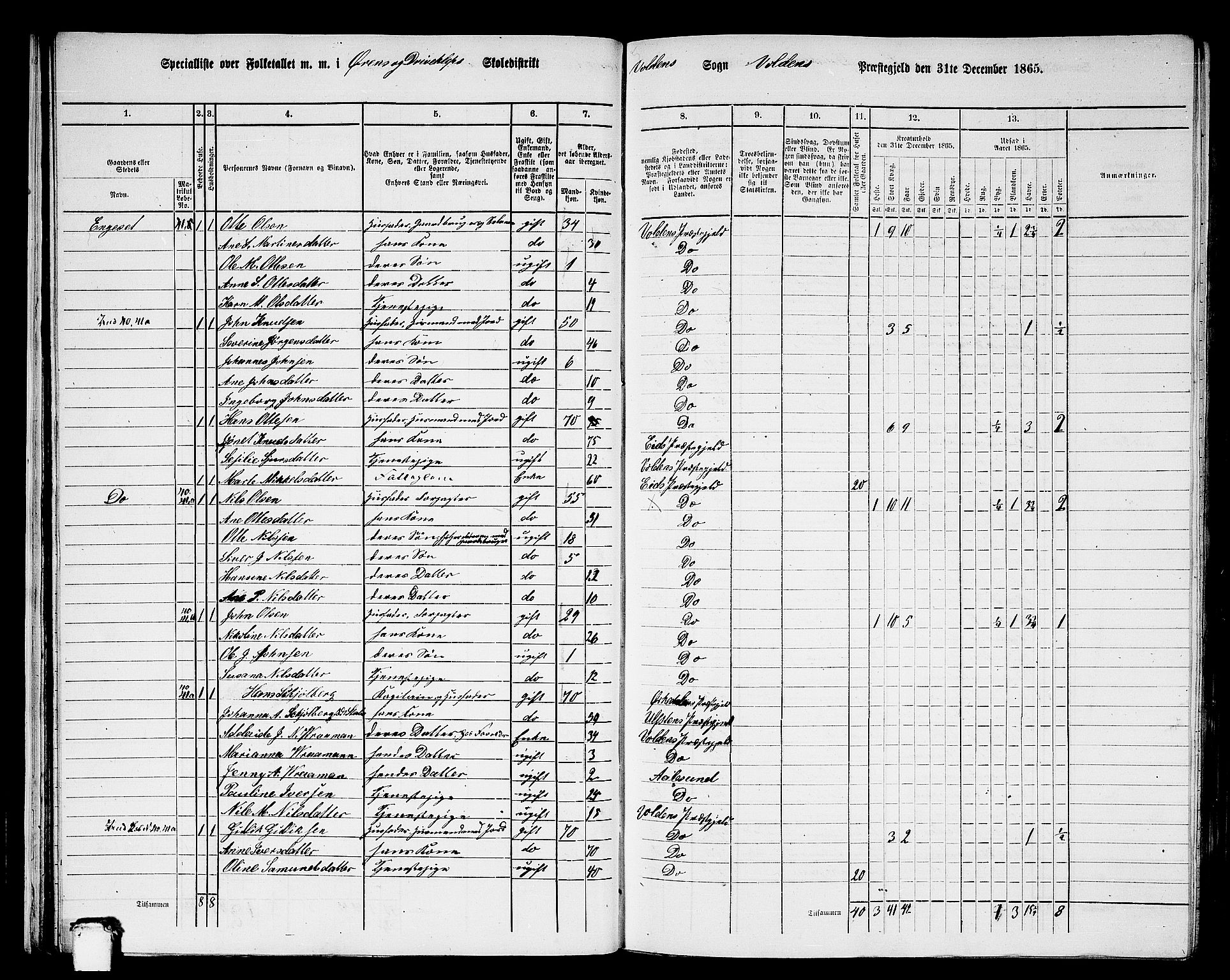 RA, 1865 census for Volda, 1865, p. 29