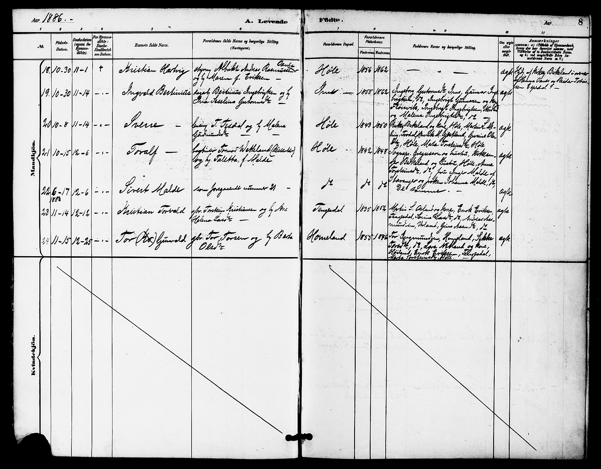 Høgsfjord sokneprestkontor, AV/SAST-A-101624/H/Ha/Haa/L0005: Parish register (official) no. A 5, 1885-1897, p. 8