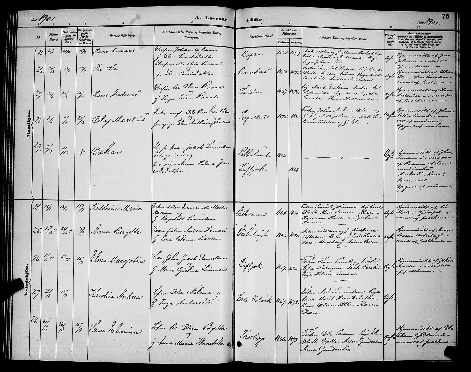 Tana sokneprestkontor, AV/SATØ-S-1334/H/Hb/L0004klokker: Parish register (copy) no. 4, 1890-1903, p. 75