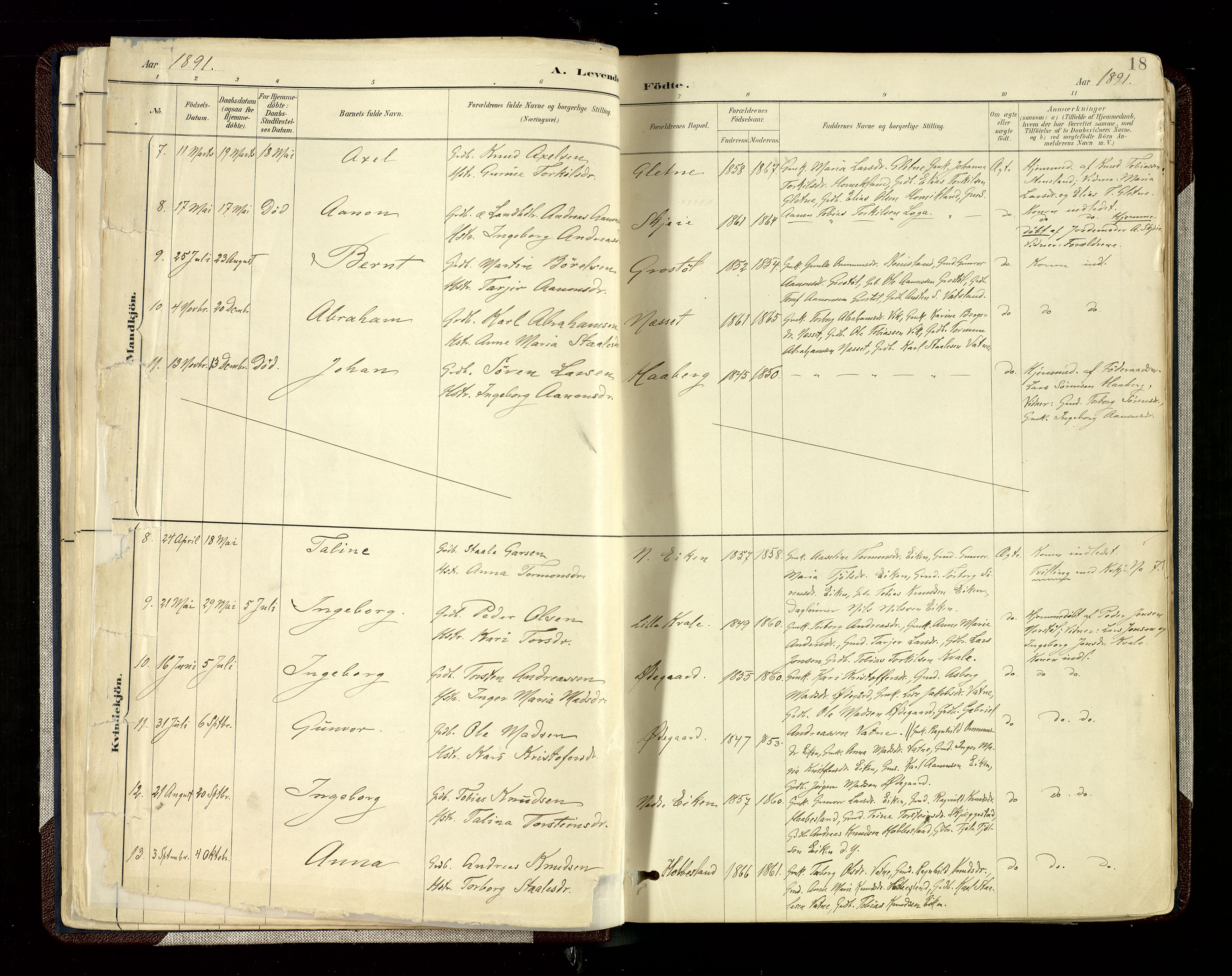 Hægebostad sokneprestkontor, SAK/1111-0024/F/Fa/Fab/L0004: Parish register (official) no. A 4, 1887-1929, p. 18
