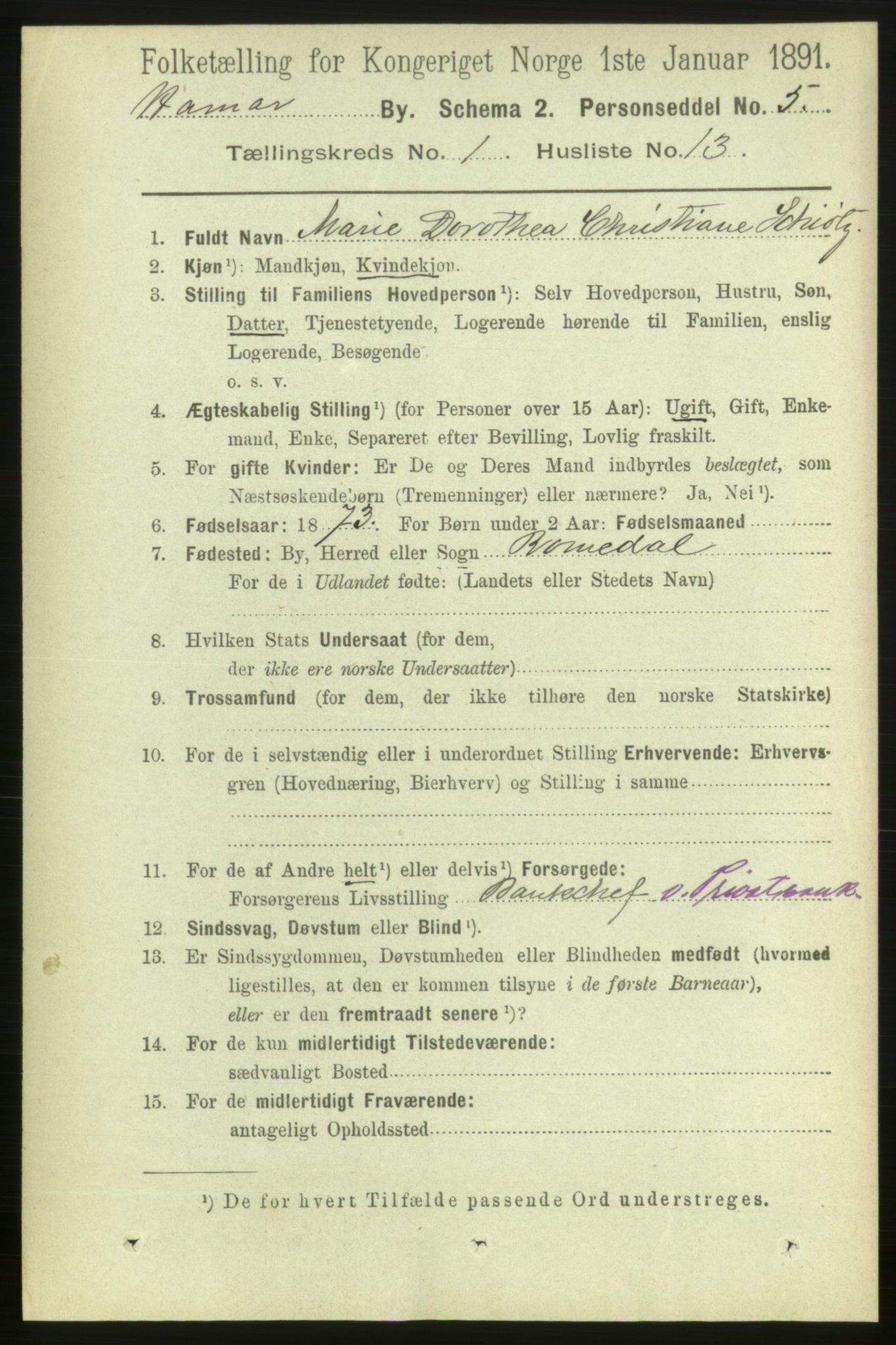 RA, 1891 census for 0401 Hamar, 1891, p. 175