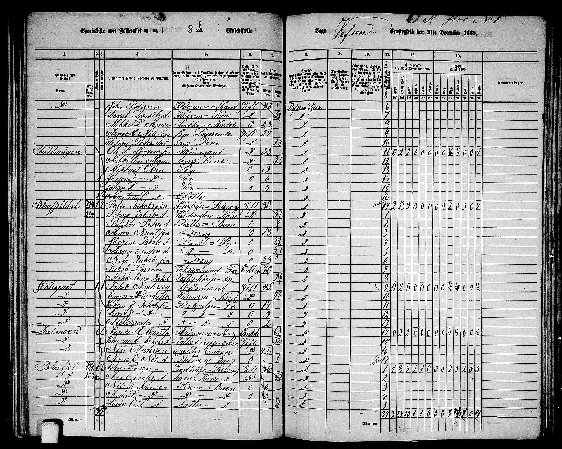 RA, 1865 census for Vefsn, 1865, p. 159