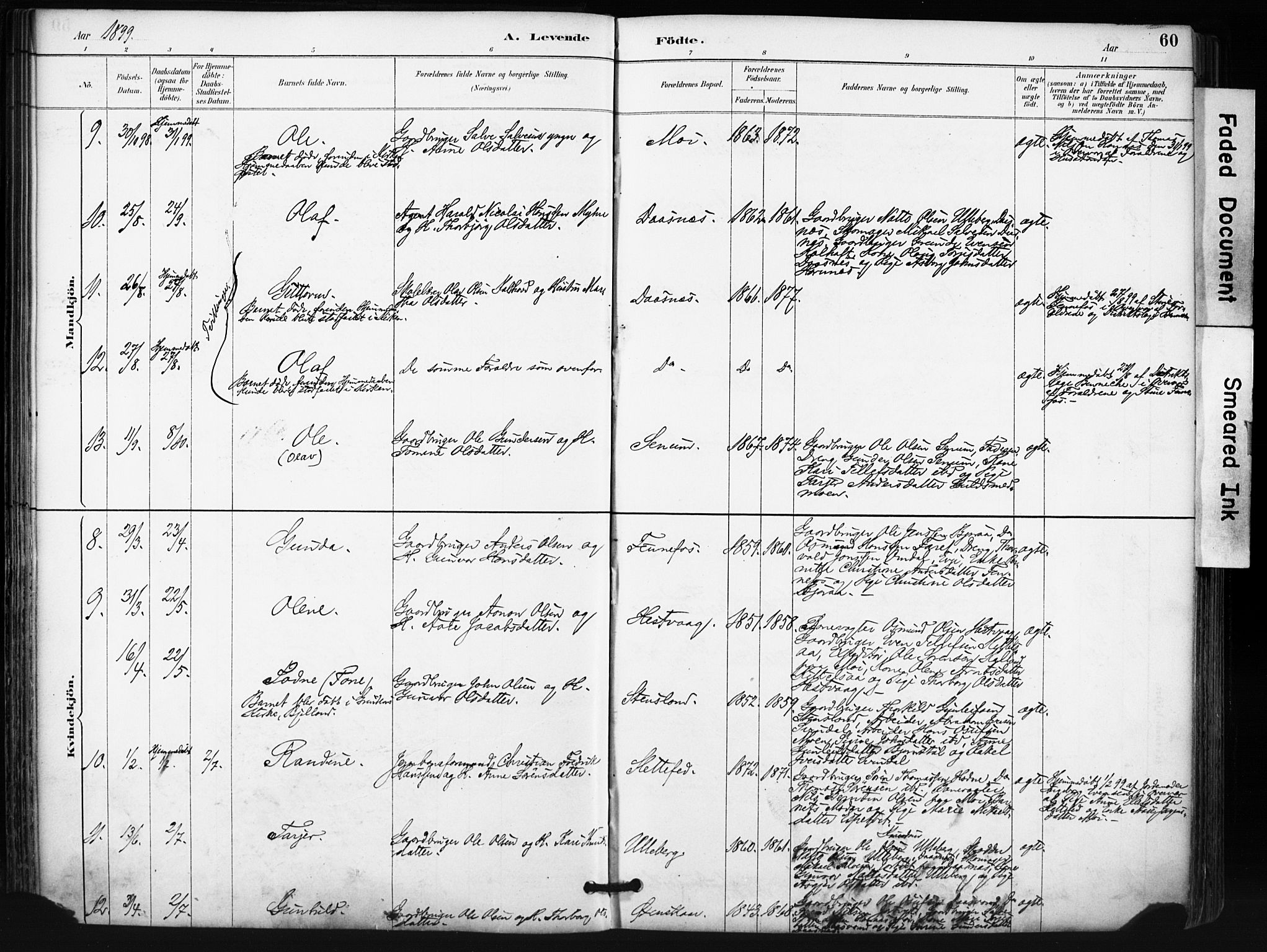 Evje sokneprestkontor, AV/SAK-1111-0008/F/Fa/Fab/L0003: Parish register (official) no. A 3, 1884-1909, p. 60