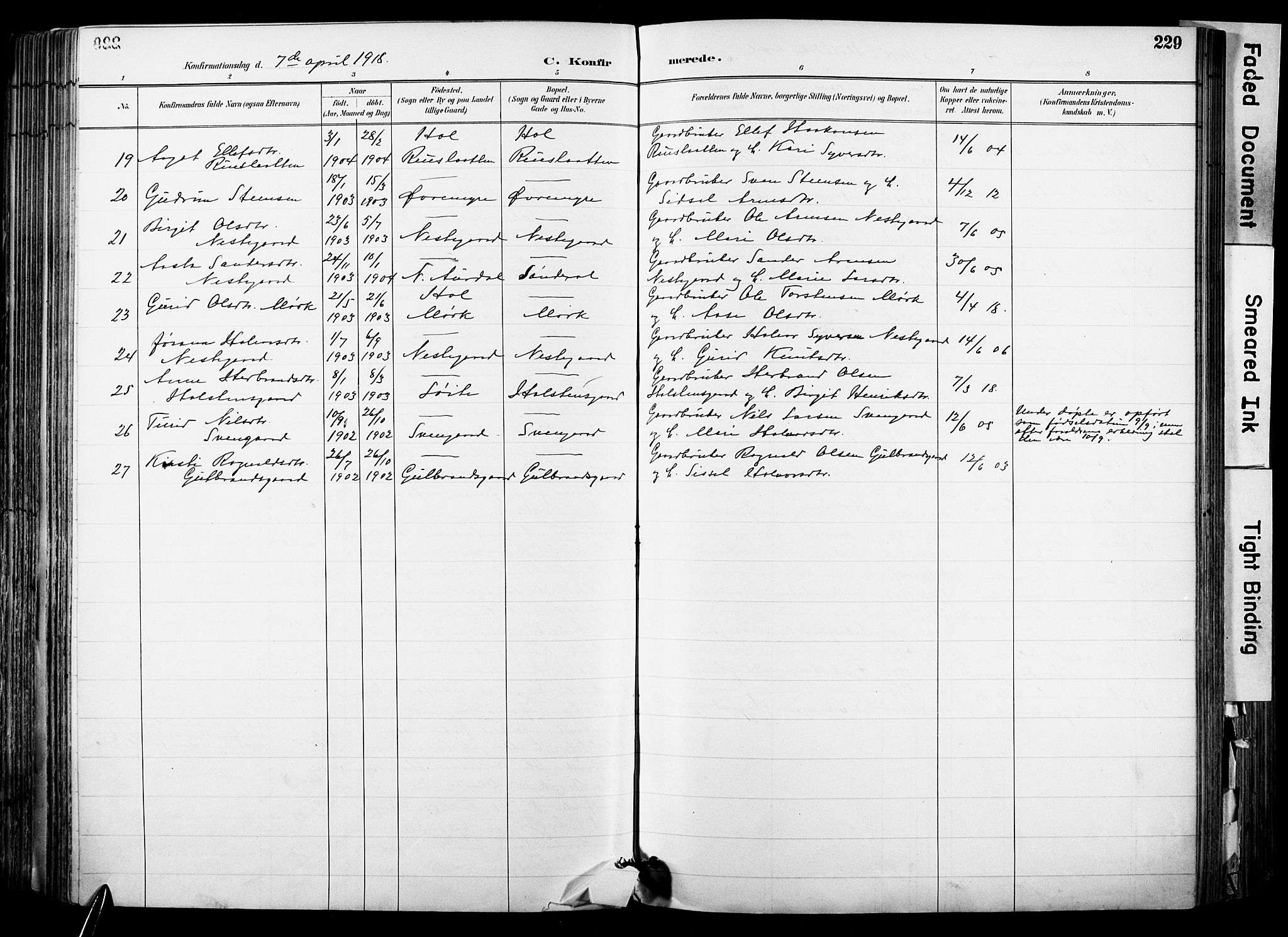 Hol kirkebøker, SAKO/A-227/F/Fa/L0003: Parish register (official) no. I 3, 1887-1918, p. 229