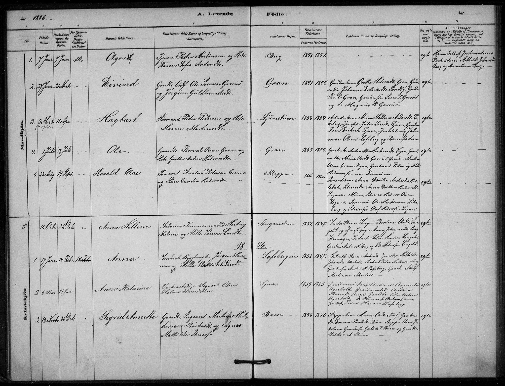 Hof kirkebøker, AV/SAKO-A-64/G/Gb/L0002: Parish register (copy) no. II 2, 1878-1902