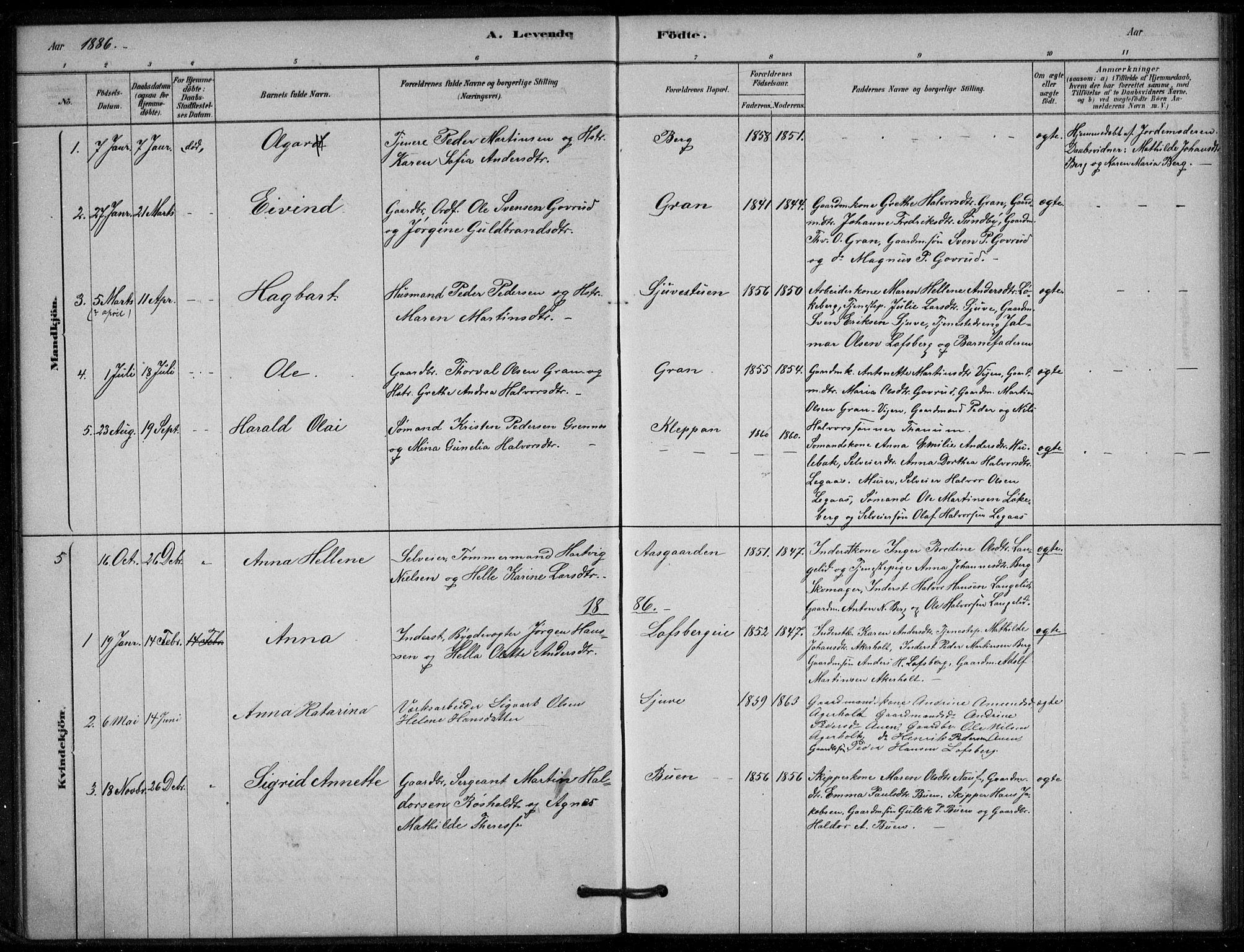 Hof kirkebøker, SAKO/A-64/G/Gb/L0002: Parish register (copy) no. II 2, 1878-1902