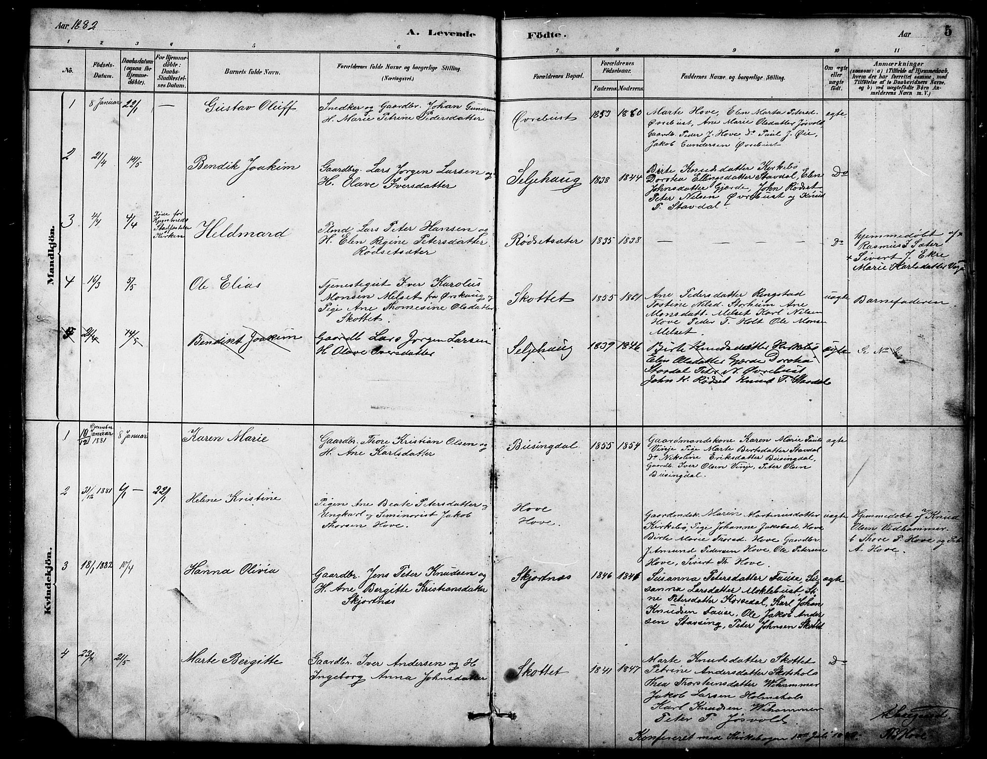 Ministerialprotokoller, klokkerbøker og fødselsregistre - Møre og Romsdal, AV/SAT-A-1454/521/L0302: Parish register (copy) no. 521C03, 1882-1907, p. 5