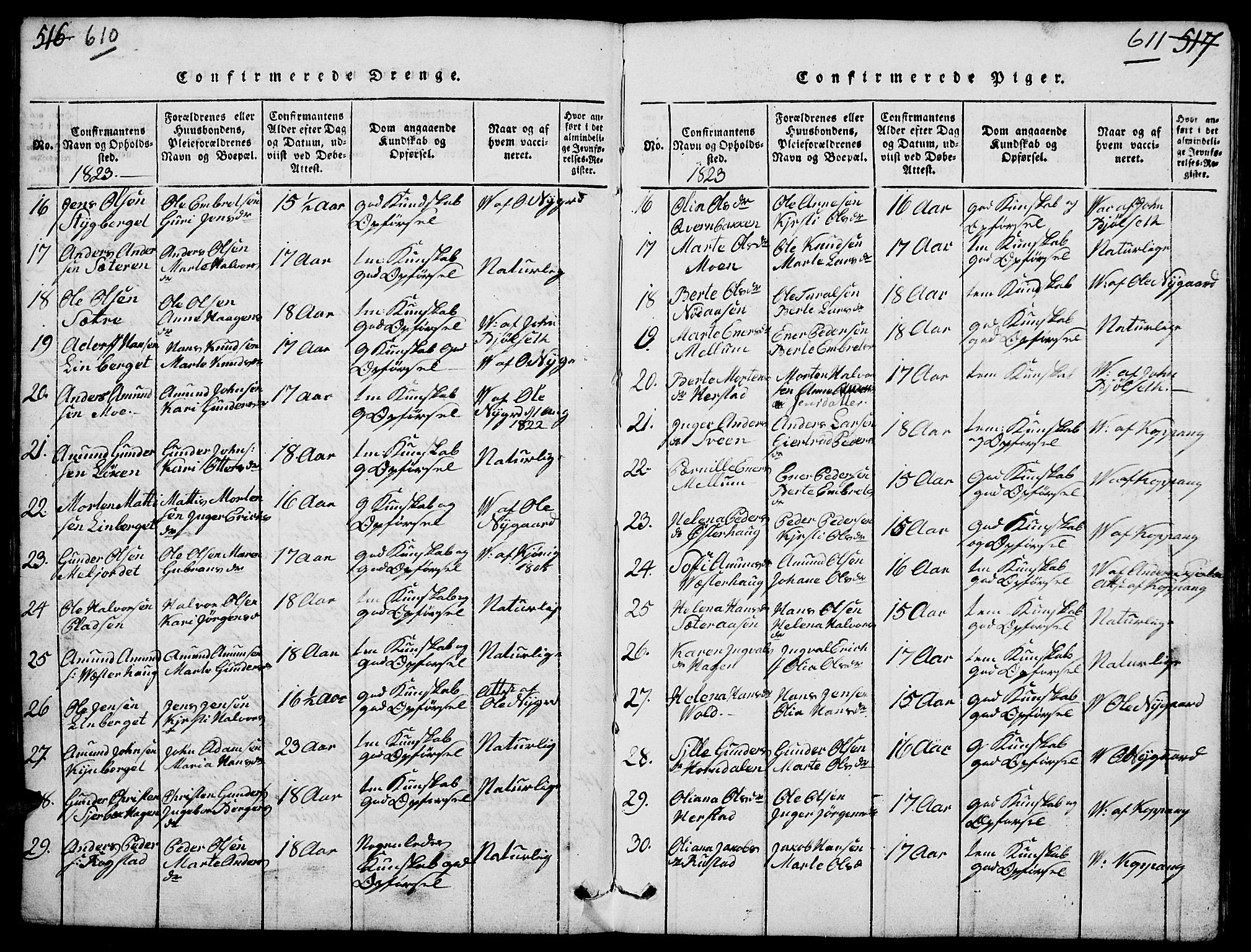 Elverum prestekontor, SAH/PREST-044/H/Ha/Hab/L0001: Parish register (copy) no. 1, 1815-1829, p. 610-611