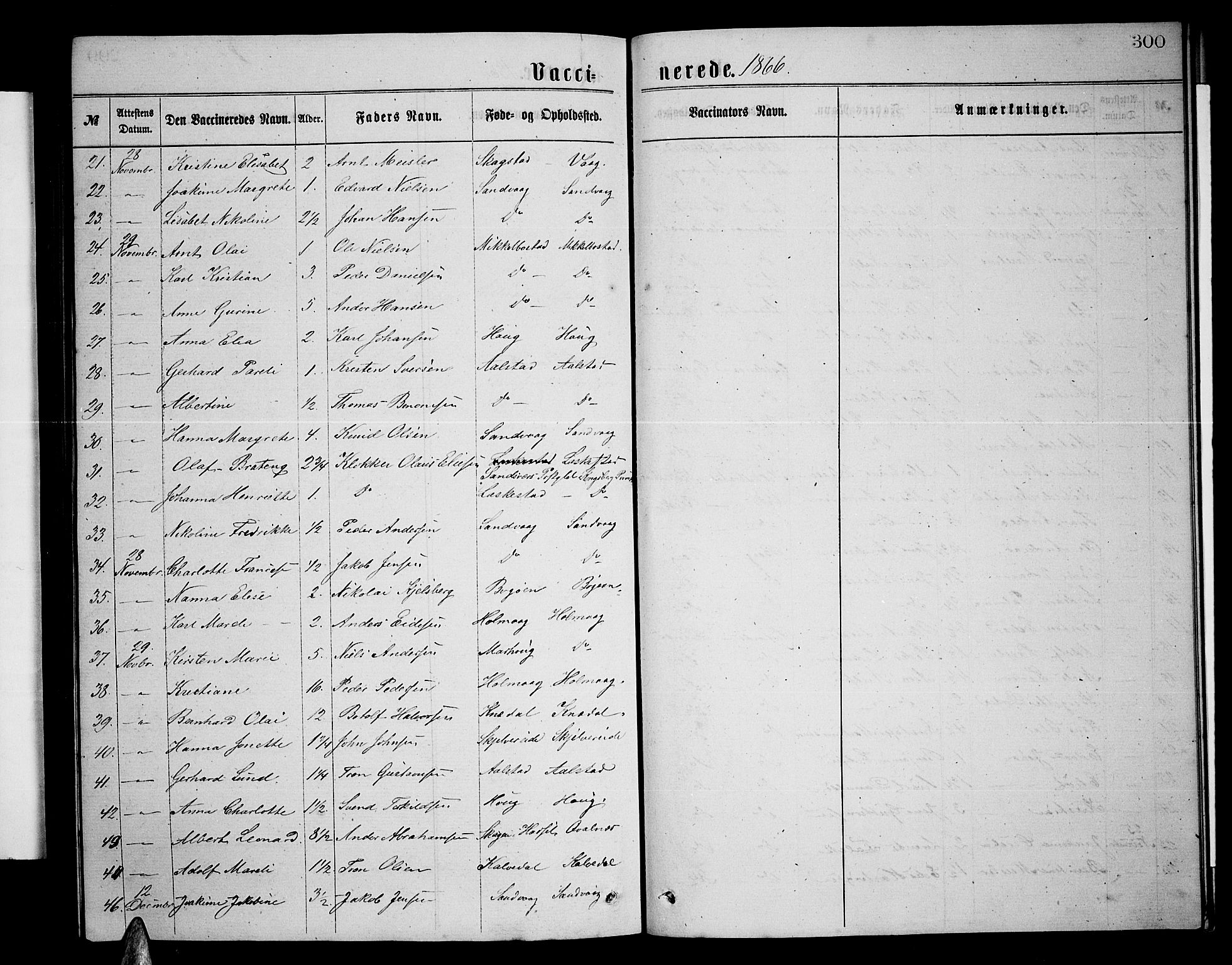 Ministerialprotokoller, klokkerbøker og fødselsregistre - Nordland, AV/SAT-A-1459/855/L0815: Parish register (copy) no. 855C04, 1865-1878, p. 300