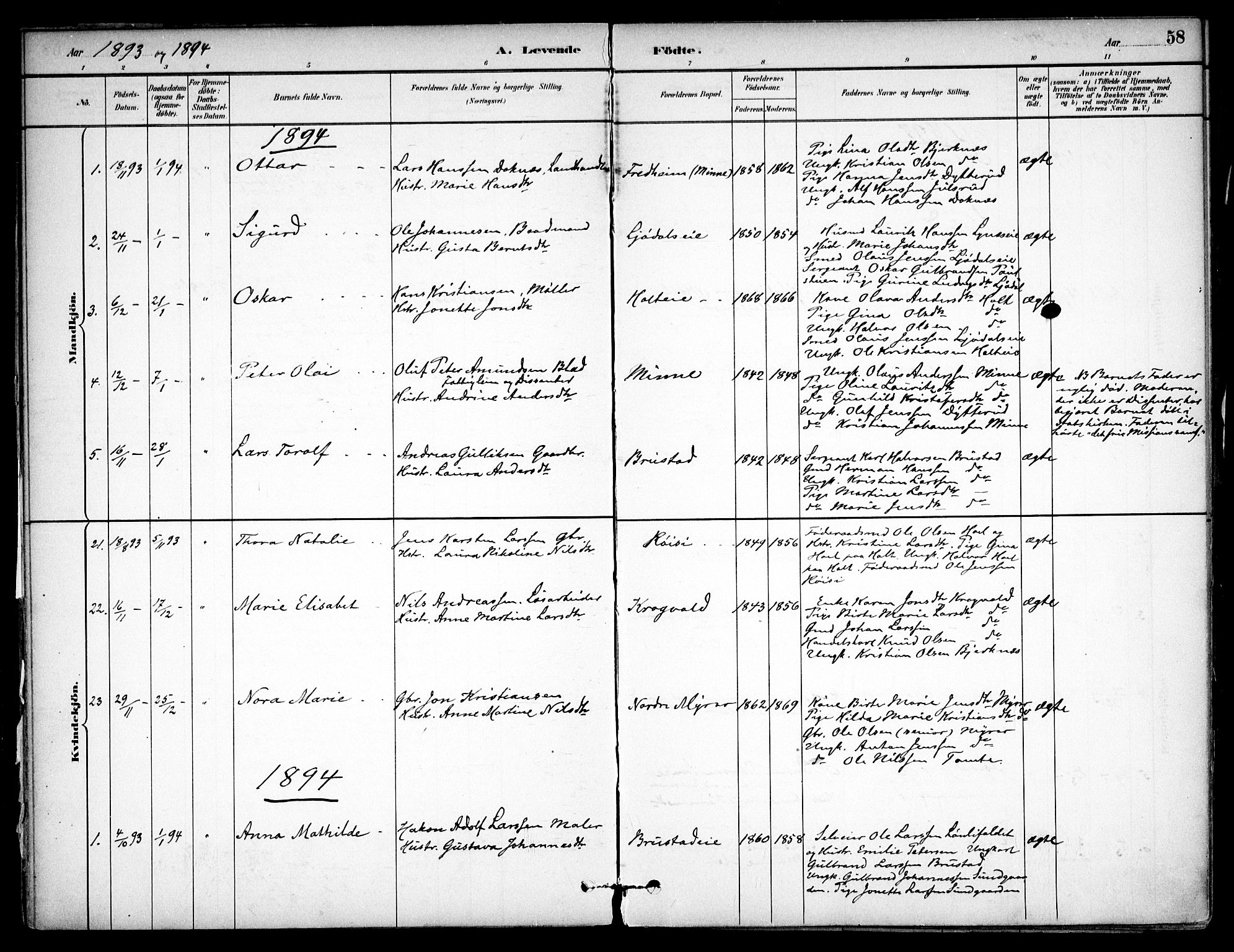 Eidsvoll prestekontor Kirkebøker, AV/SAO-A-10888/F/Fb/L0001: Parish register (official) no. II 1, 1882-1897, p. 58