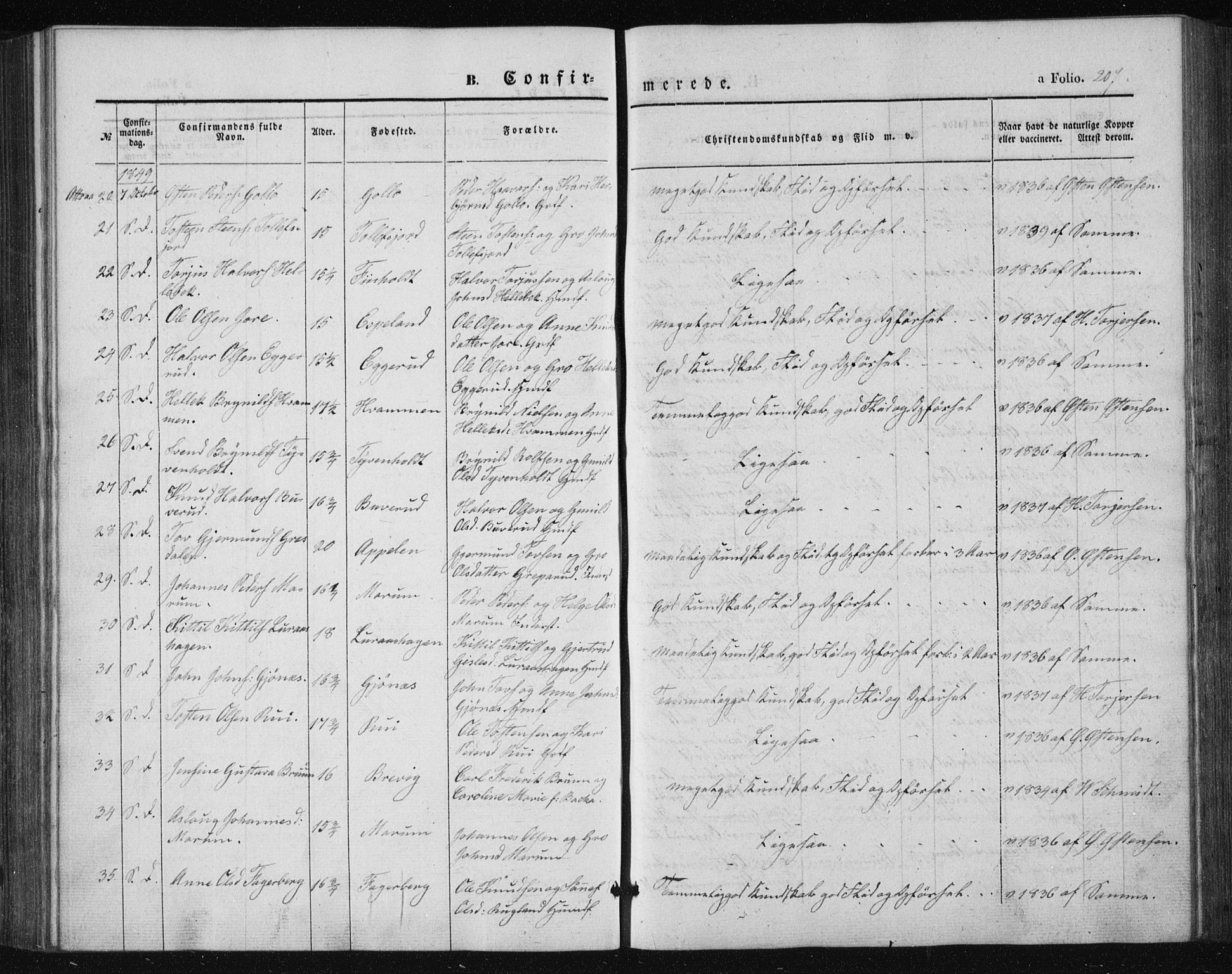 Tinn kirkebøker, SAKO/A-308/F/Fa/L0005: Parish register (official) no. I 5, 1844-1856, p. 207