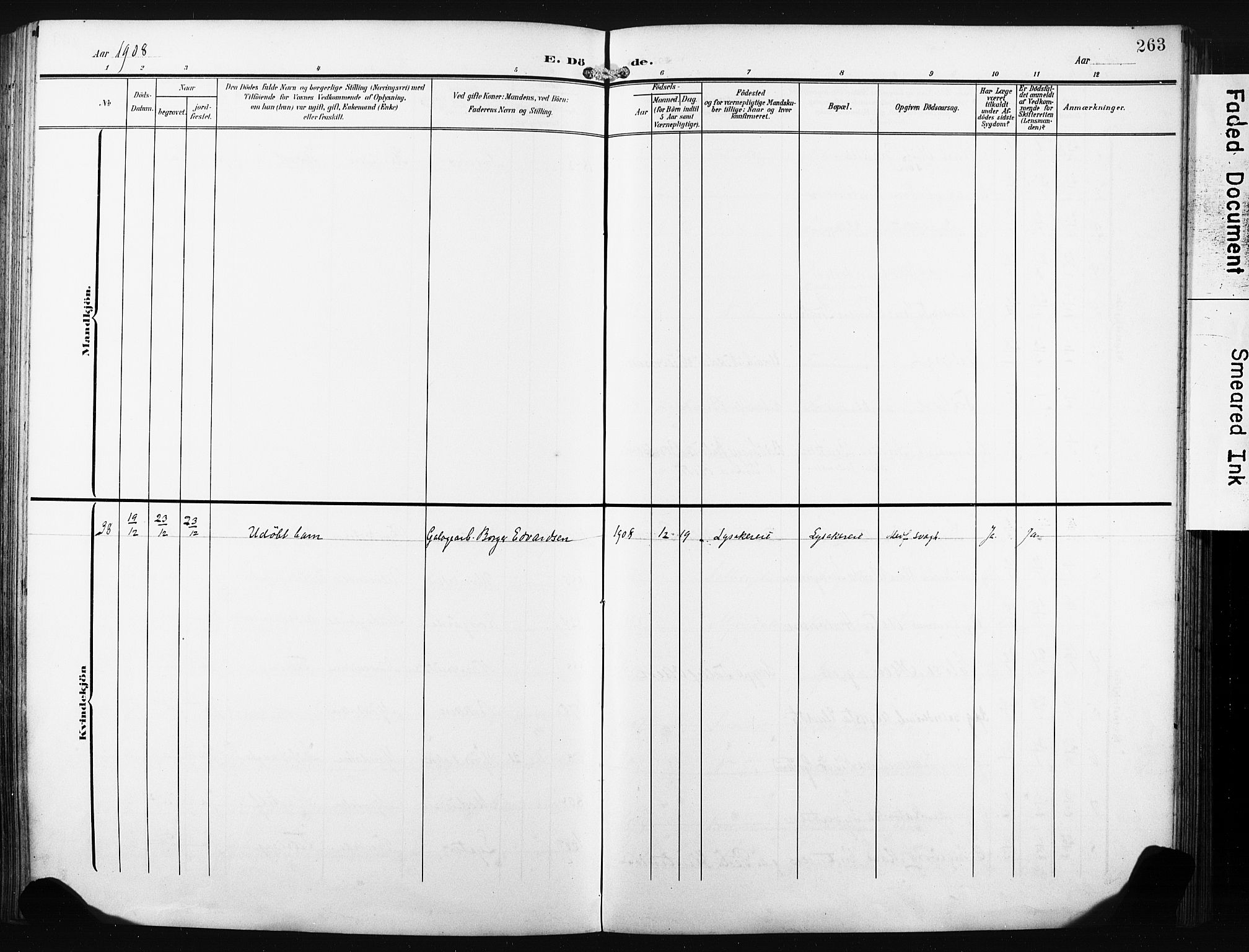 Nedre Eiker kirkebøker, SAKO/A-612/F/Fa/L0006: Parish register (official) no. 6, 1906-1912, p. 263