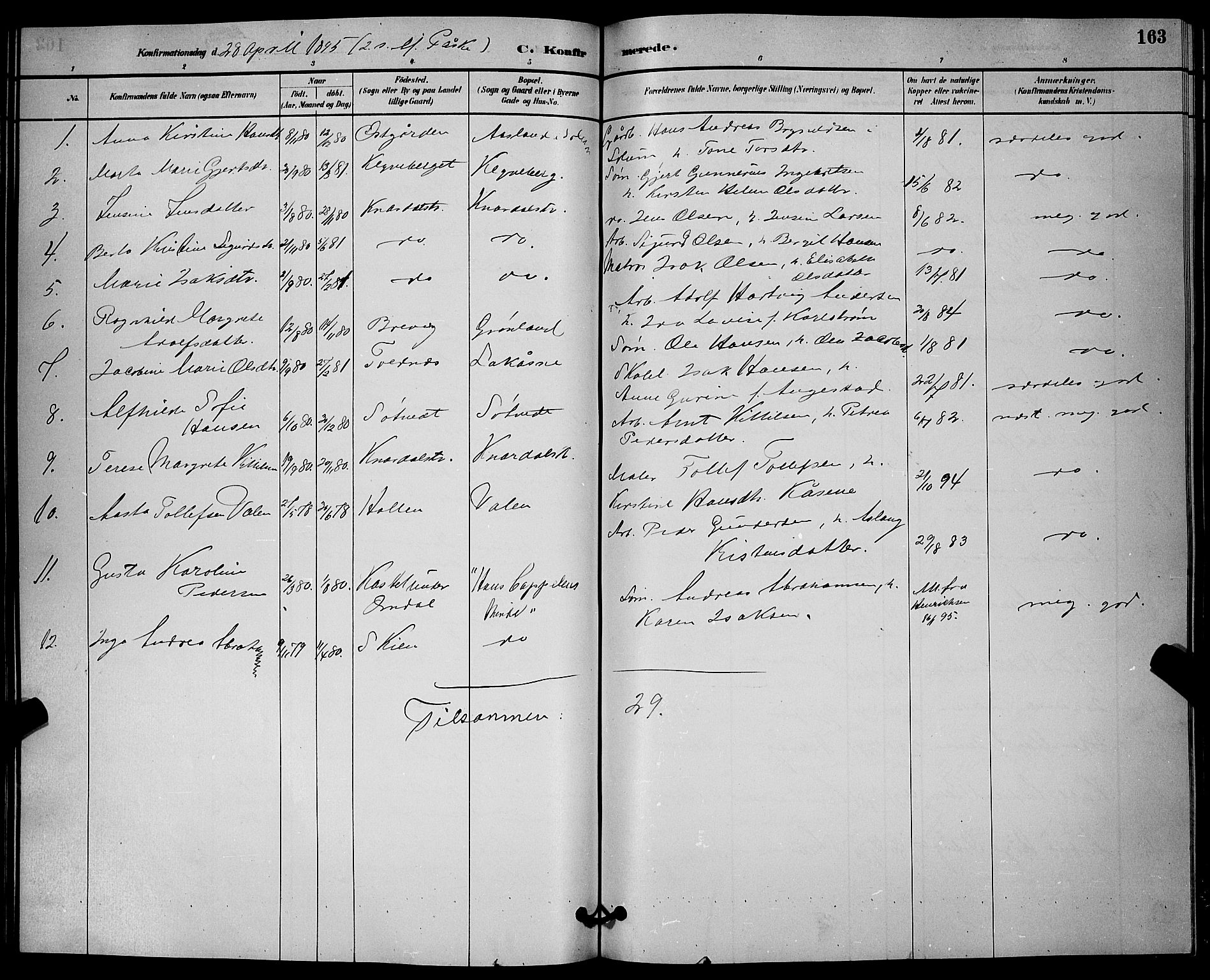 Solum kirkebøker, SAKO/A-306/G/Ga/L0007: Parish register (copy) no. I 7, 1884-1898, p. 163