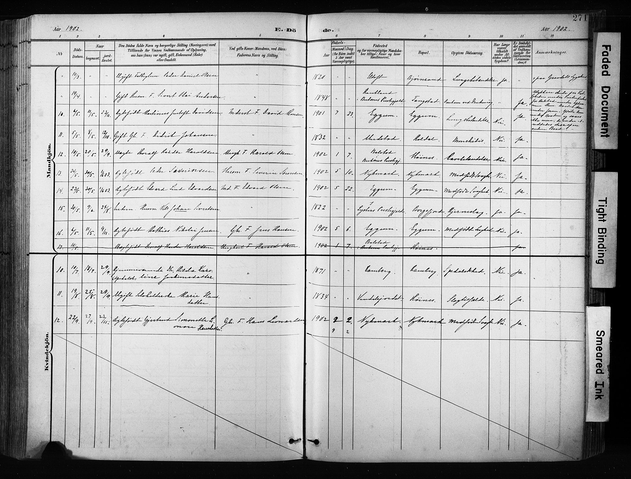 Ministerialprotokoller, klokkerbøker og fødselsregistre - Nordland, AV/SAT-A-1459/880/L1134: Parish register (official) no. 880A08, 1899-1908, p. 271