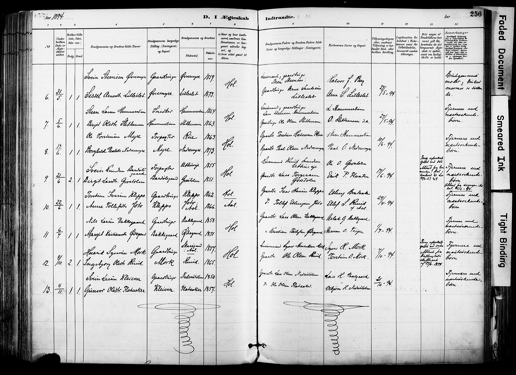 Hol kirkebøker, SAKO/A-227/F/Fa/L0003: Parish register (official) no. I 3, 1887-1918, p. 256