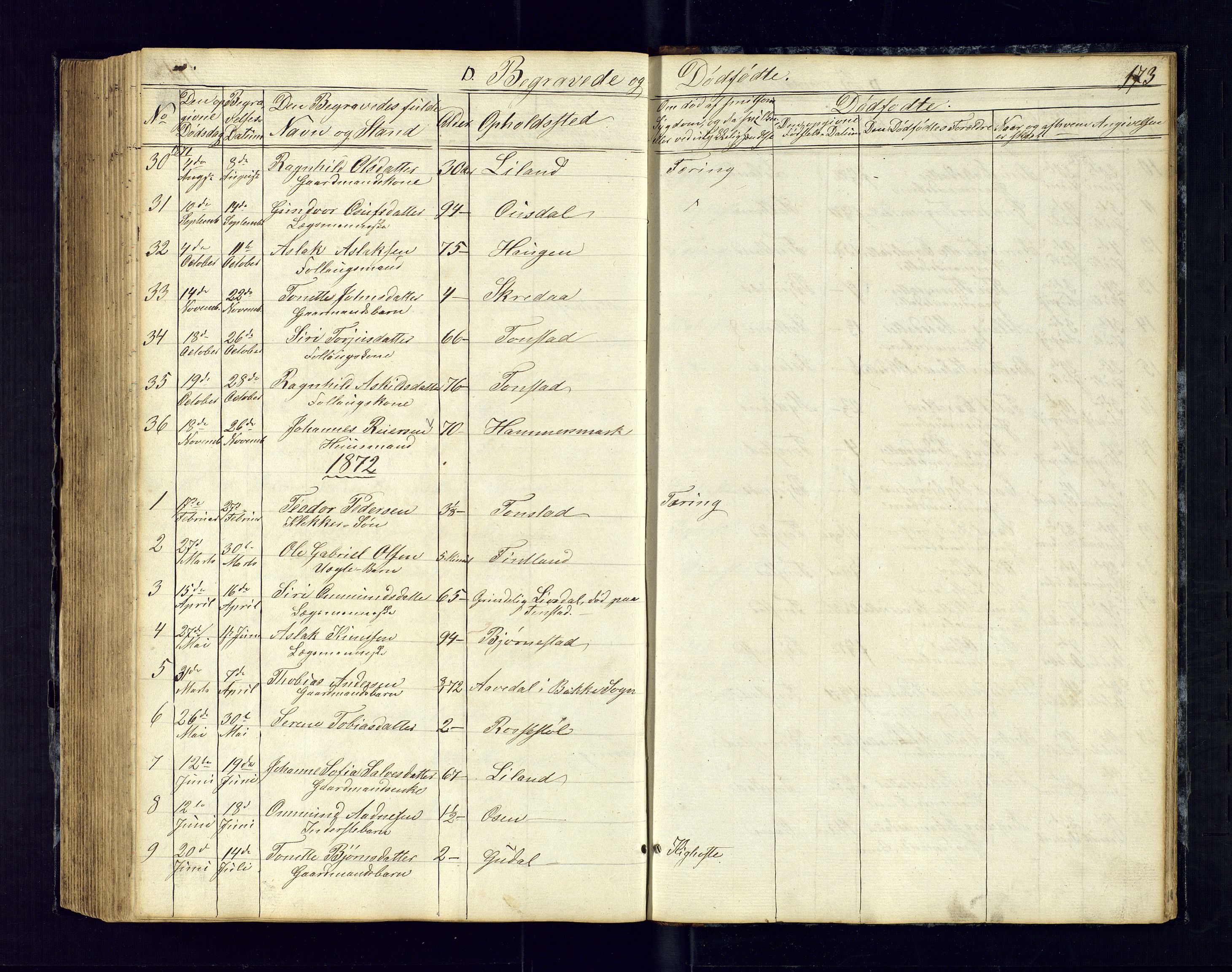 Sirdal sokneprestkontor, SAK/1111-0036/F/Fb/Fbb/L0002: Parish register (copy) no. B-2, 1848-1878, p. 173