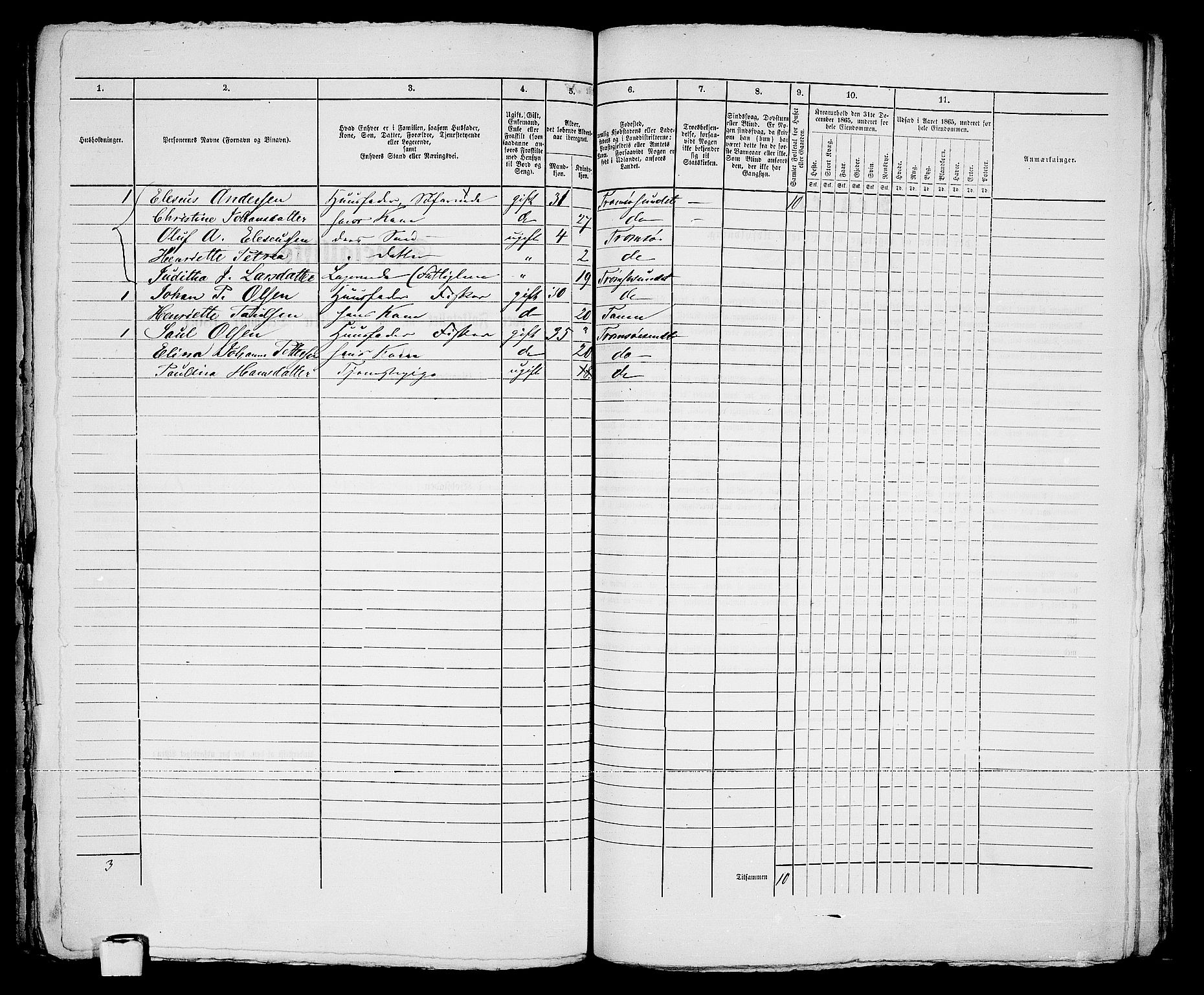 RA, 1865 census for Tromsø, 1865, p. 339