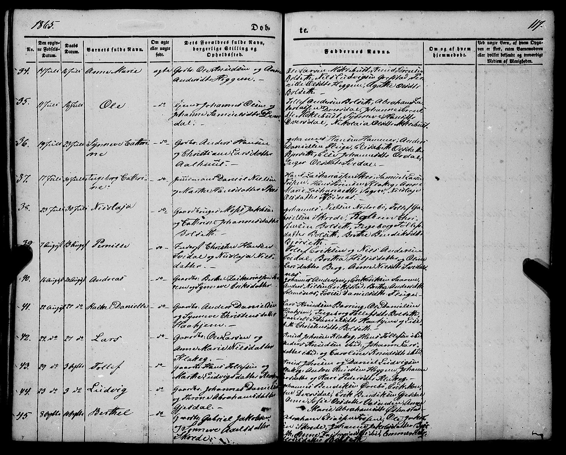 Jølster sokneprestembete, SAB/A-80701/H/Haa/Haaa/L0010: Parish register (official) no. A 10, 1847-1865, p. 117