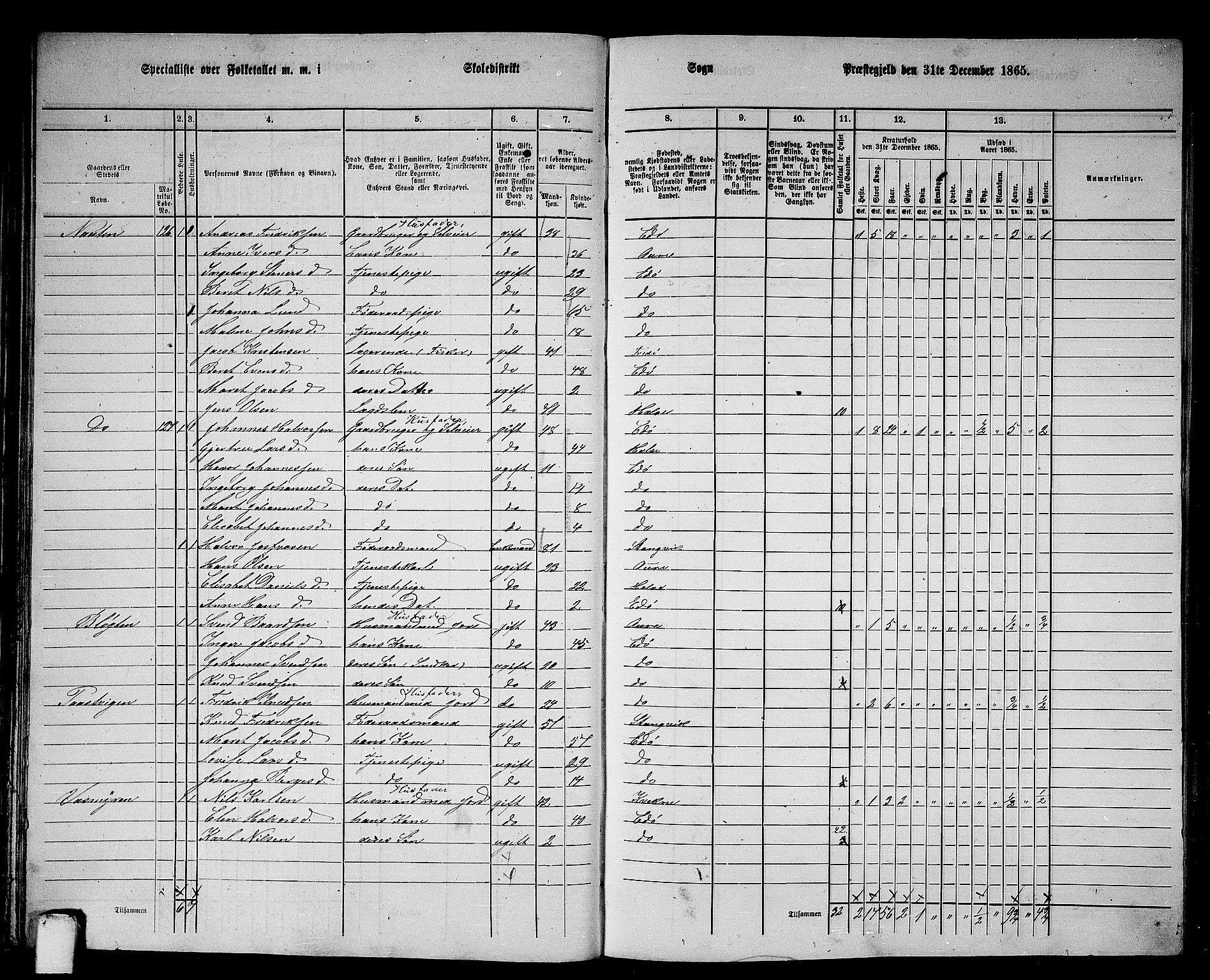 RA, 1865 census for Edøy, 1865, p. 45