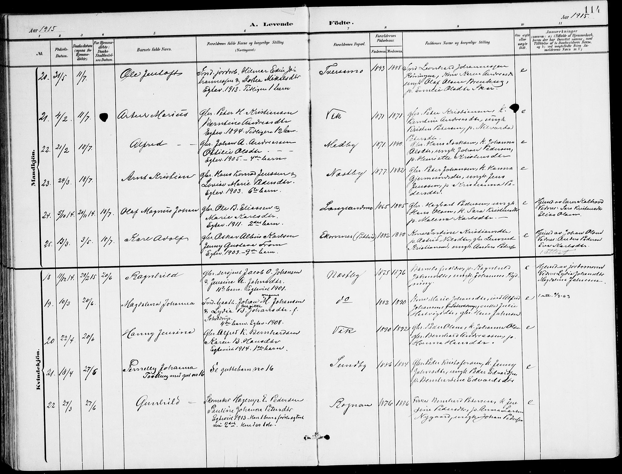 Ministerialprotokoller, klokkerbøker og fødselsregistre - Nordland, AV/SAT-A-1459/847/L0672: Parish register (official) no. 847A12, 1902-1919, p. 114