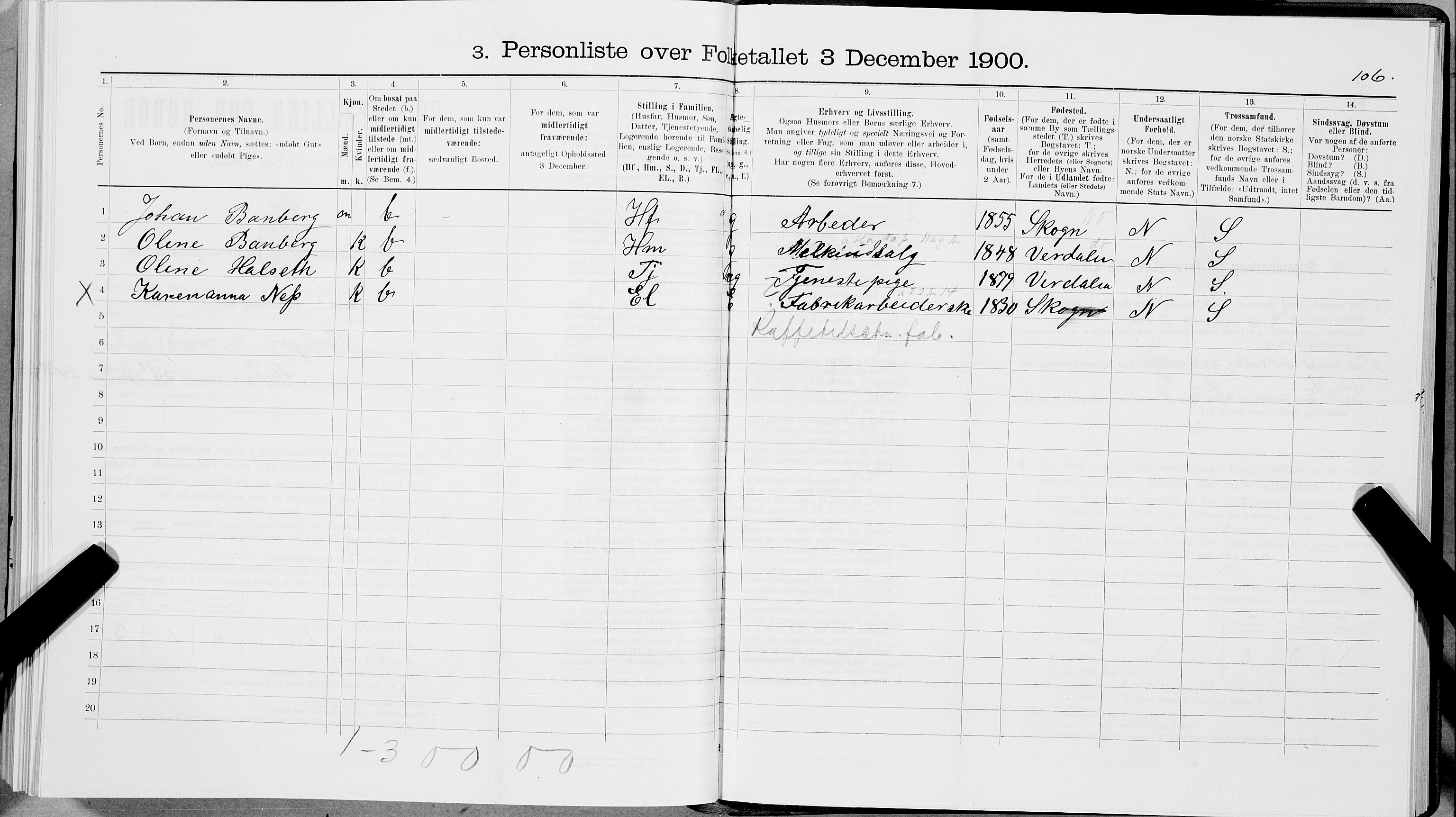 SAT, 1900 census for Levanger, 1900, p. 449