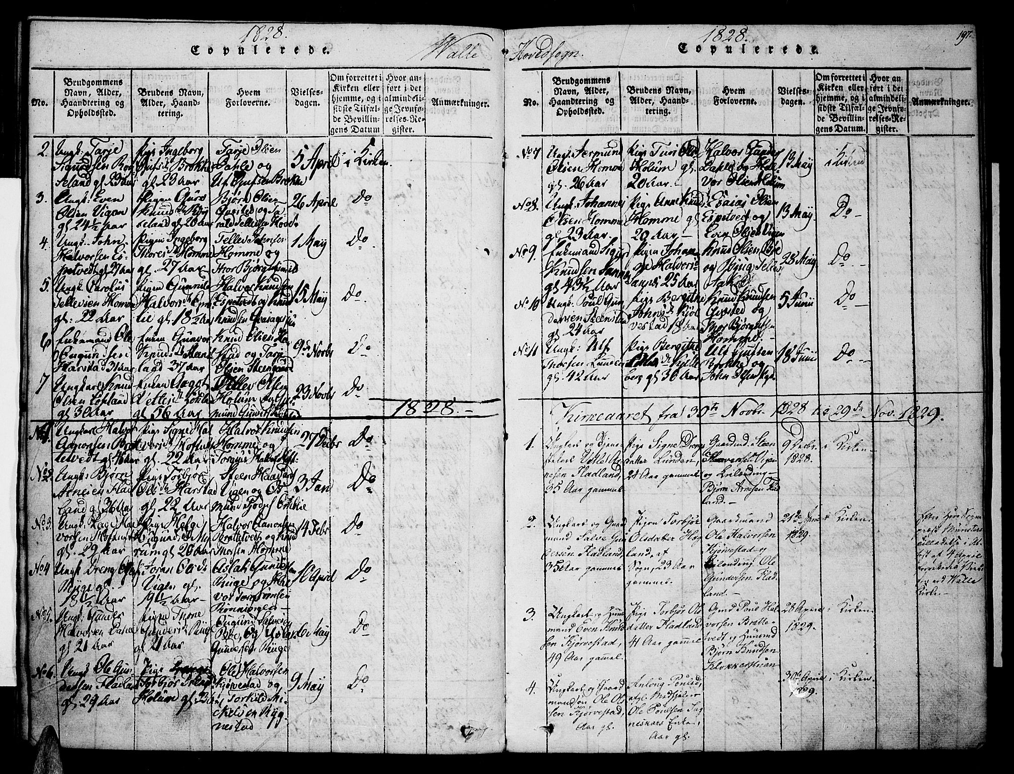 Valle sokneprestkontor, SAK/1111-0044/F/Fa/Fac/L0005: Parish register (official) no. A 5 /1, 1816-1831, p. 197