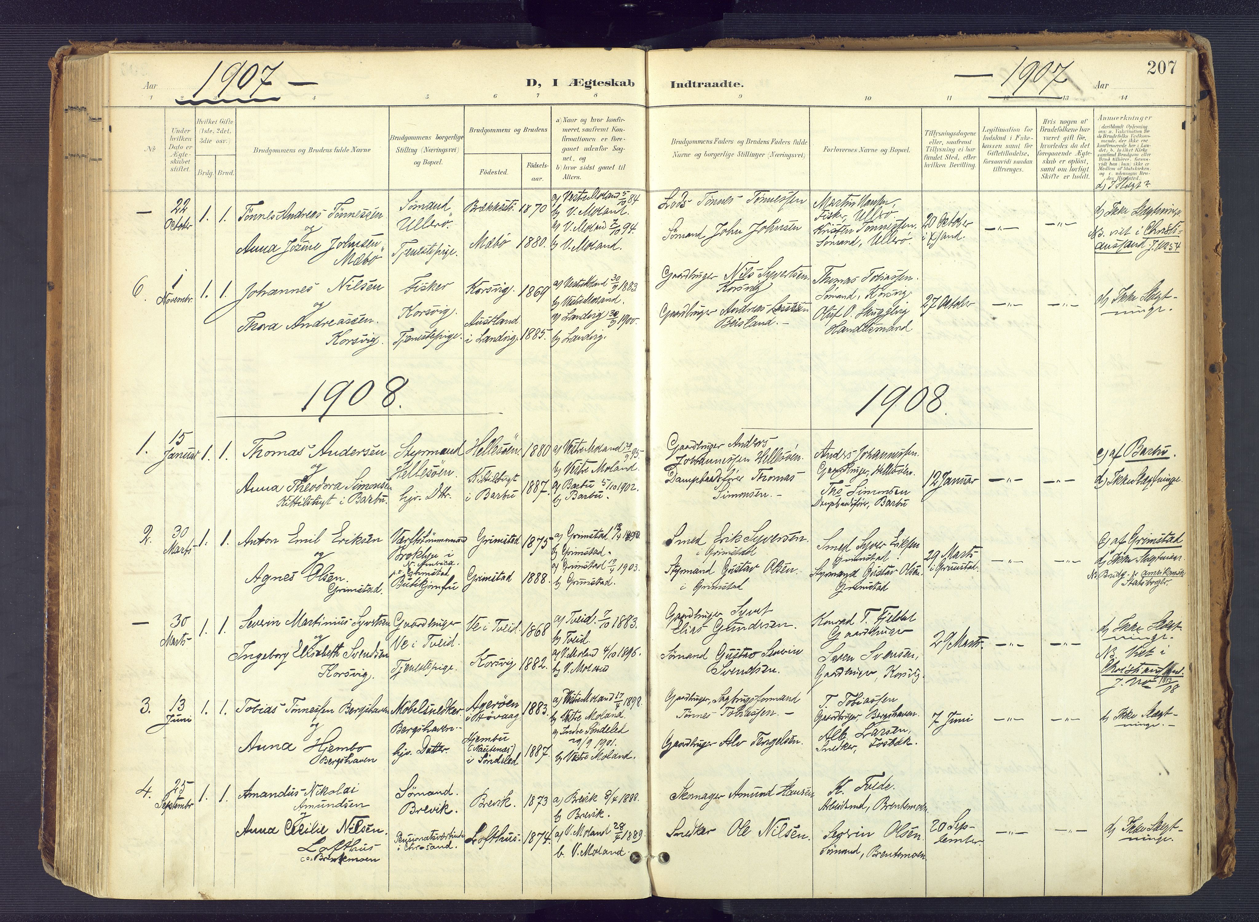 Vestre Moland sokneprestkontor, SAK/1111-0046/F/Fa/Fab/L0010: Parish register (official) no. A 10, 1900-1926, p. 207