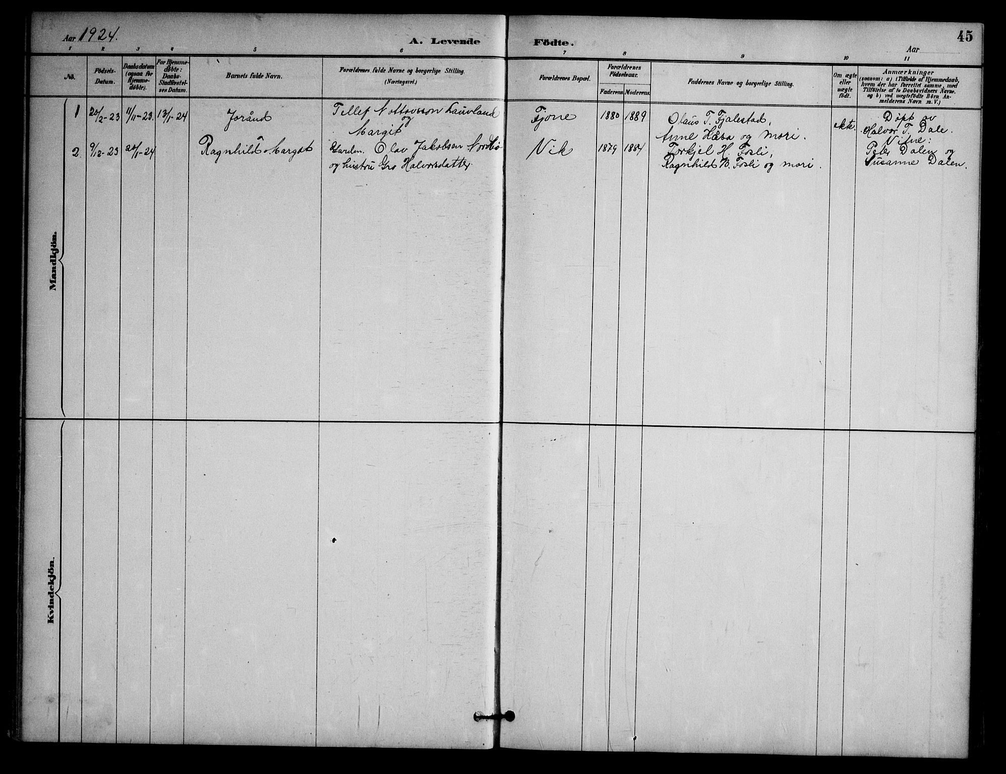Nissedal kirkebøker, SAKO/A-288/G/Ga/L0003: Parish register (copy) no. I 3, 1887-1911, p. 45