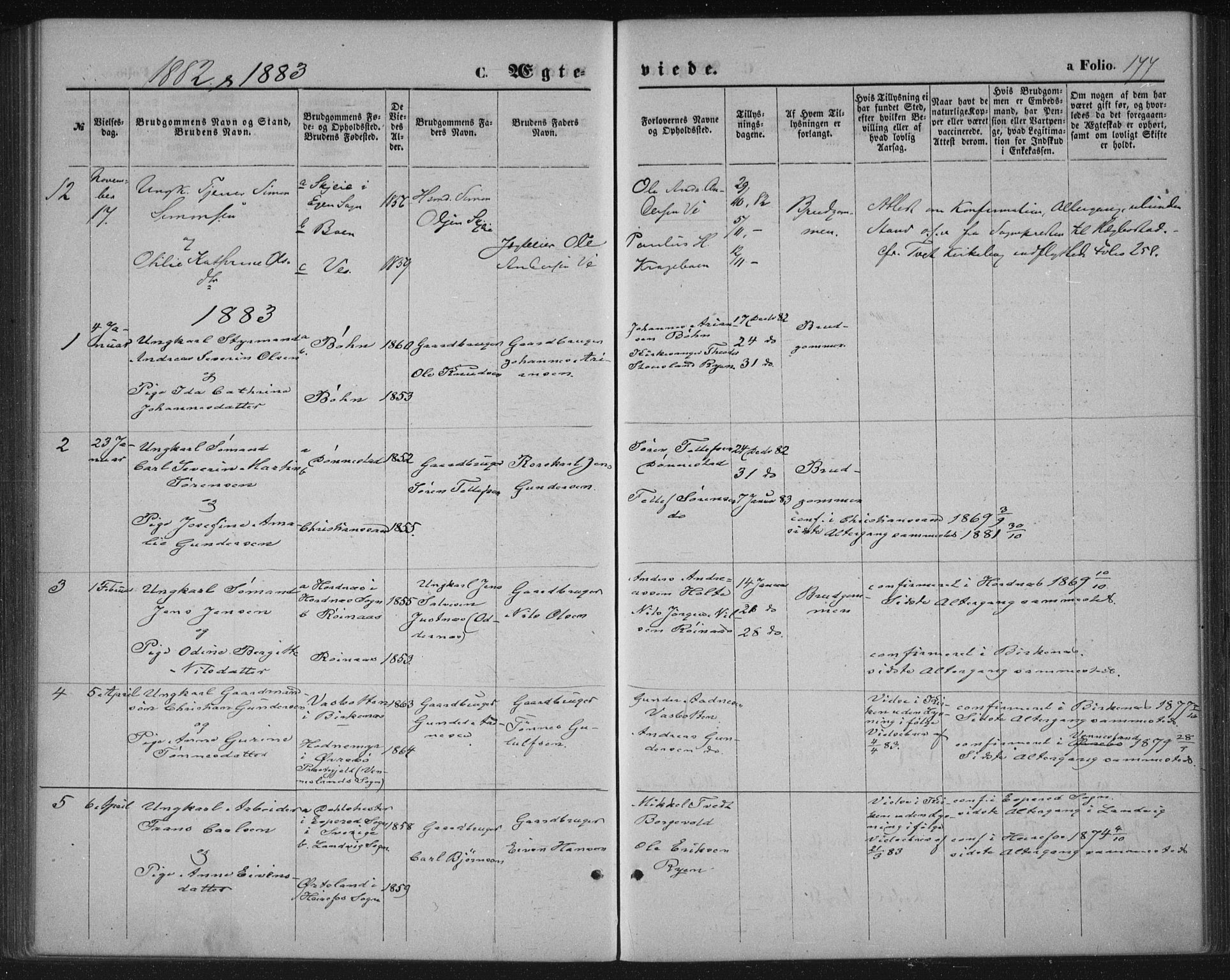Tveit sokneprestkontor, SAK/1111-0043/F/Fa/L0006: Parish register (official) no. A 6, 1872-1886, p. 177