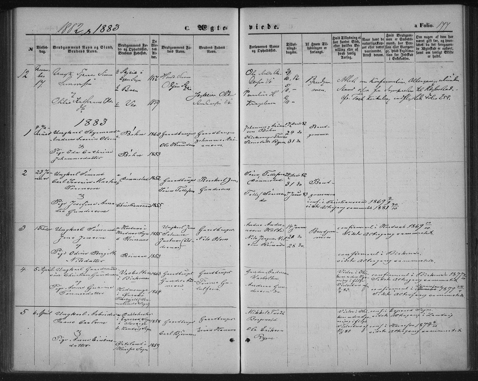 Tveit sokneprestkontor, AV/SAK-1111-0043/F/Fa/L0006: Parish register (official) no. A 6, 1872-1886, p. 177