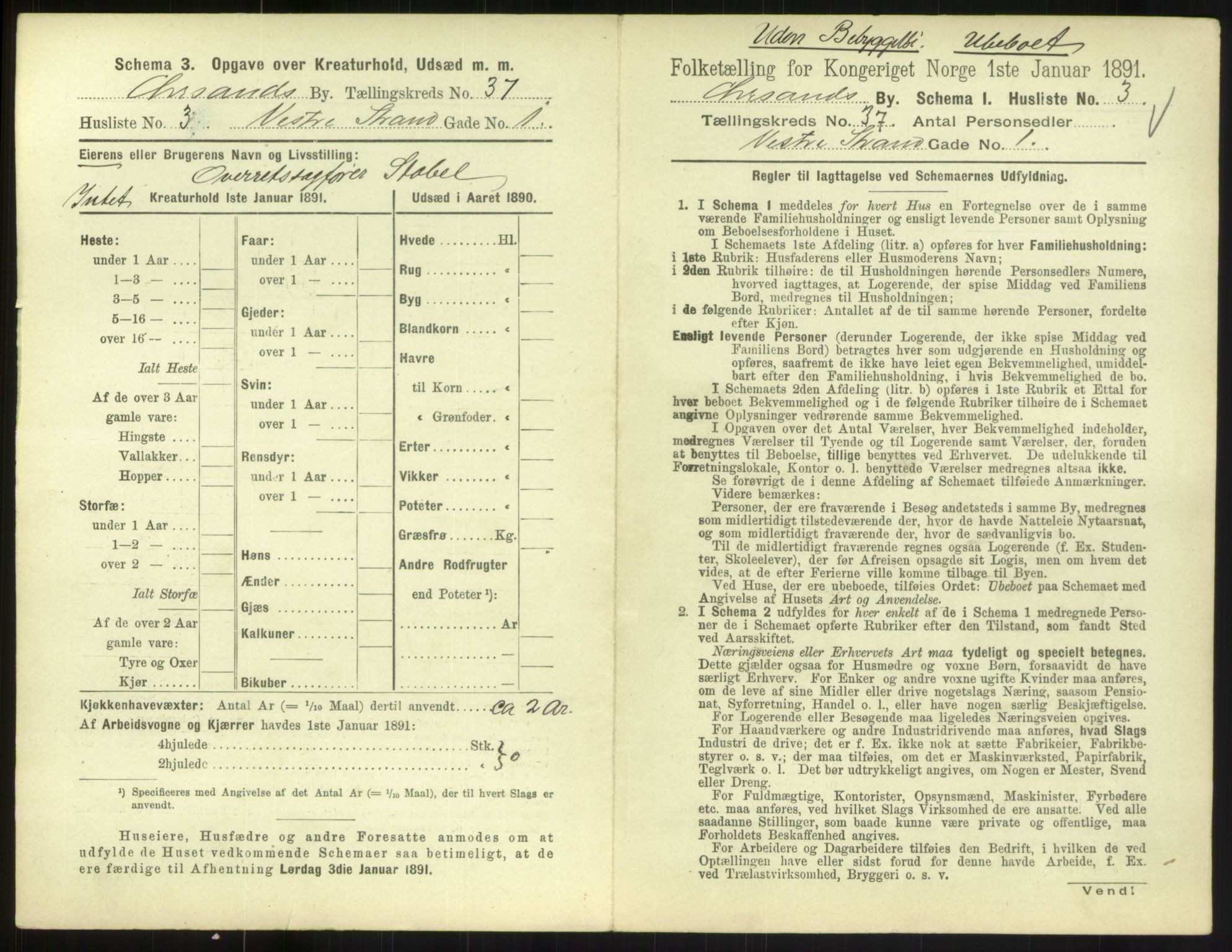 RA, 1891 census for 1001 Kristiansand, 1891, p. 1972