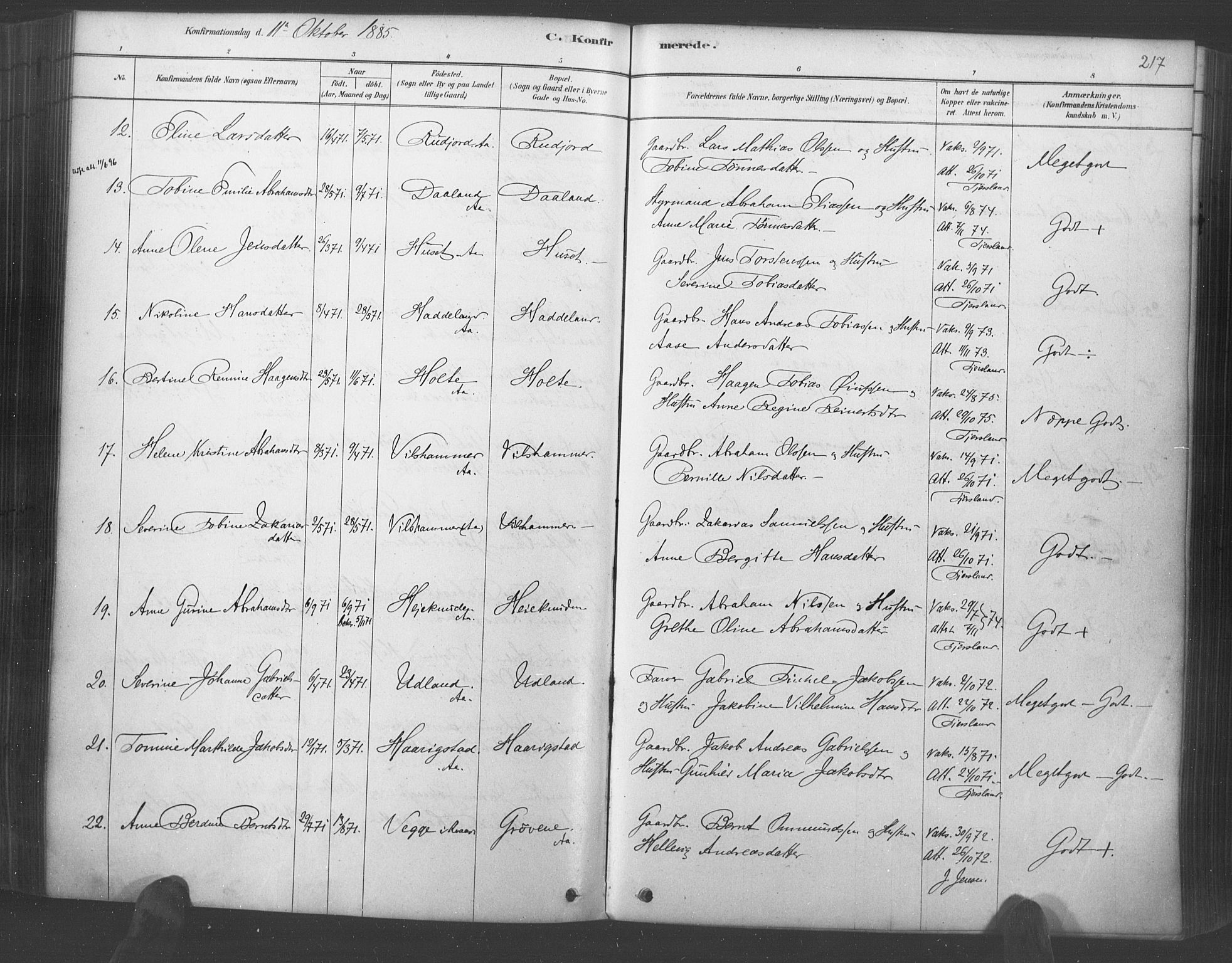 Lyngdal sokneprestkontor, SAK/1111-0029/F/Fa/Fac/L0011: Parish register (official) no. A 11, 1878-1893, p. 217