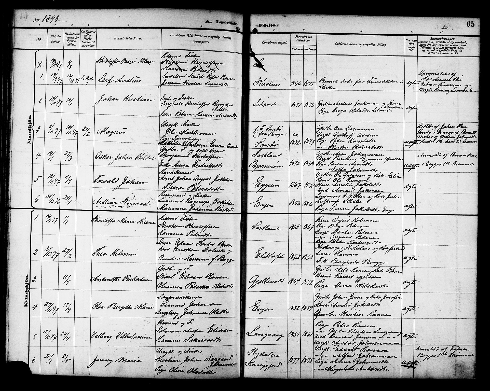 Ministerialprotokoller, klokkerbøker og fødselsregistre - Nordland, AV/SAT-A-1459/880/L1141: Parish register (copy) no. 880C03, 1893-1928, p. 65