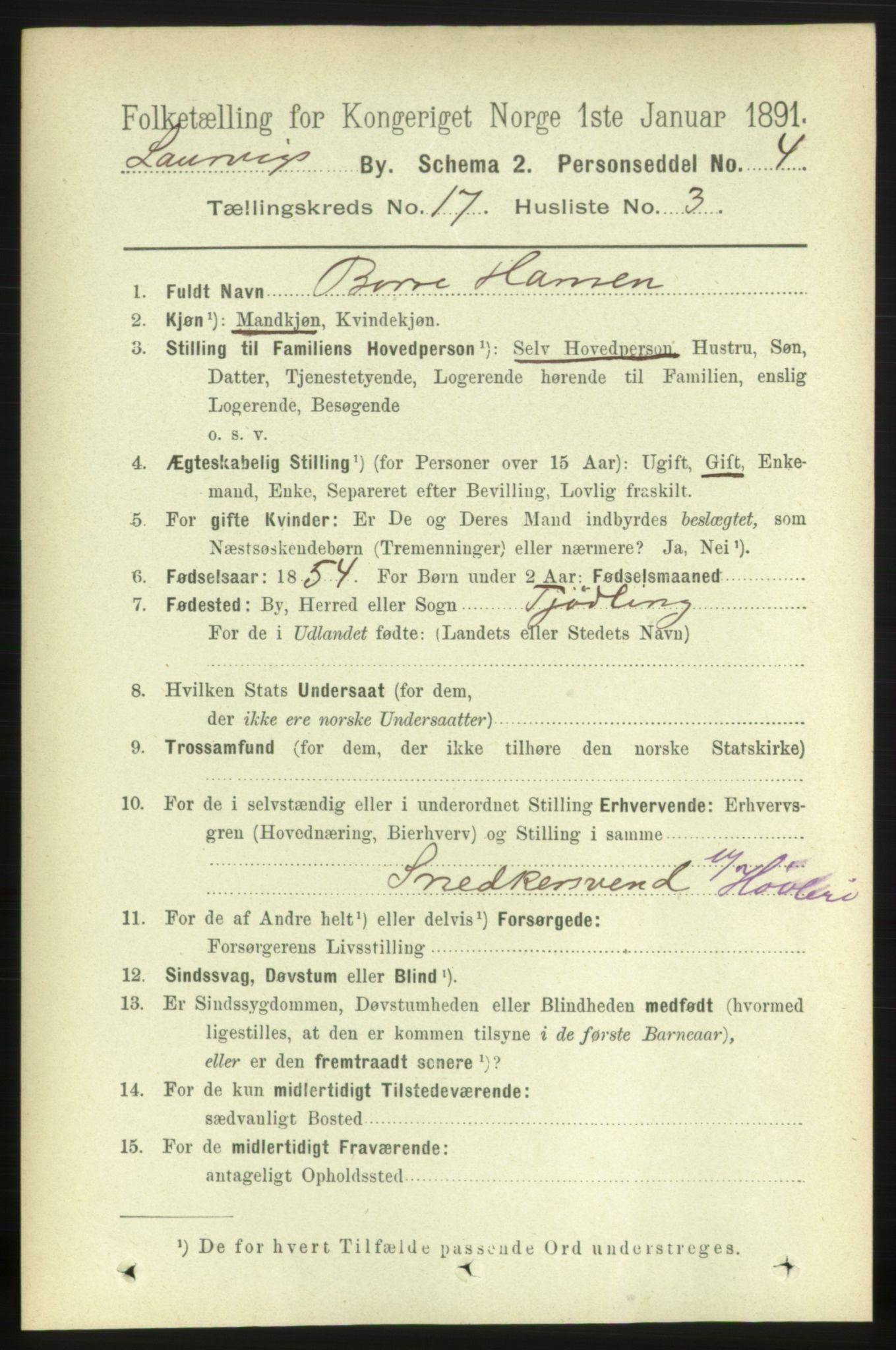 RA, 1891 census for 0707 Larvik, 1891, p. 12349