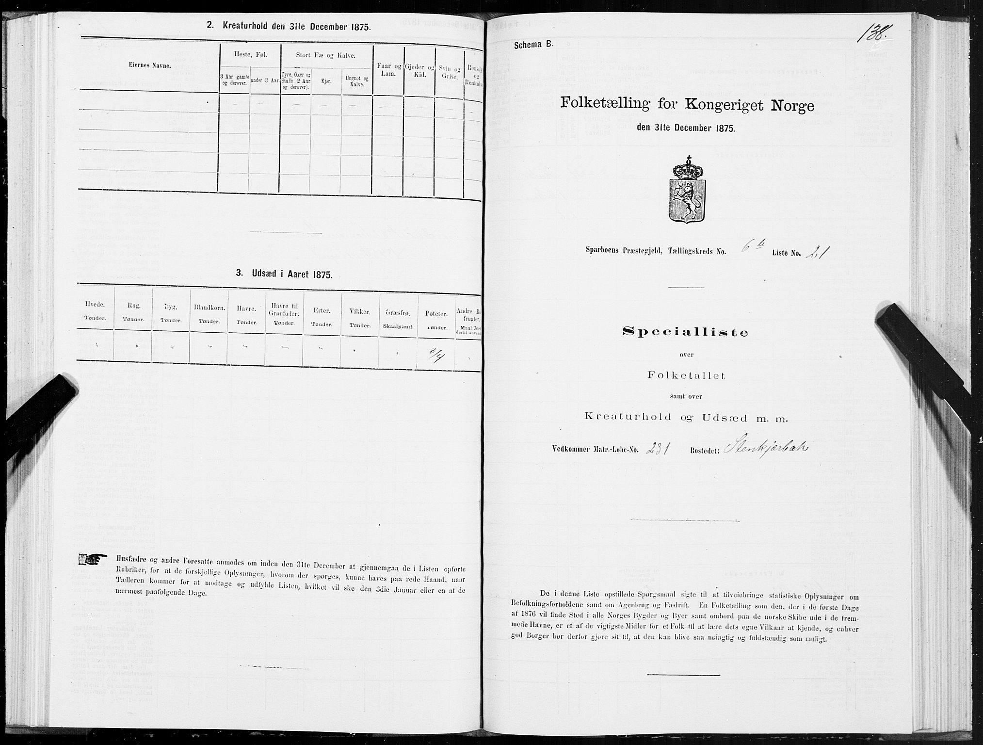 SAT, 1875 census for 1731P Sparbu, 1875, p. 3138