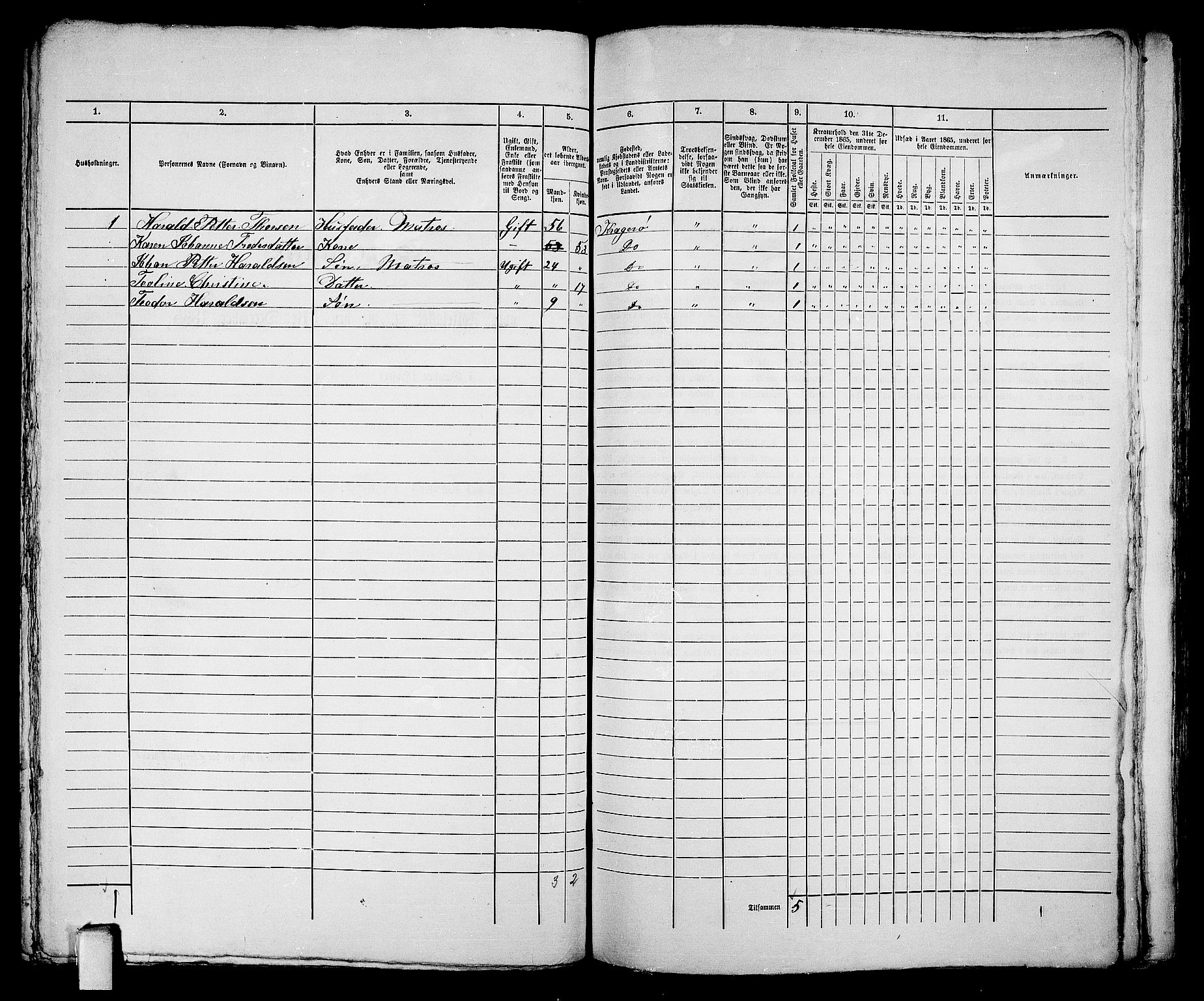 RA, 1865 census for Kragerø/Kragerø, 1865, p. 419