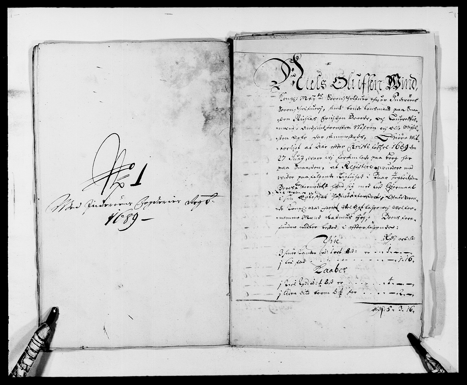 Rentekammeret inntil 1814, Reviderte regnskaper, Fogderegnskap, RA/EA-4092/R63/L4306: Fogderegnskap Inderøy, 1687-1689, p. 503