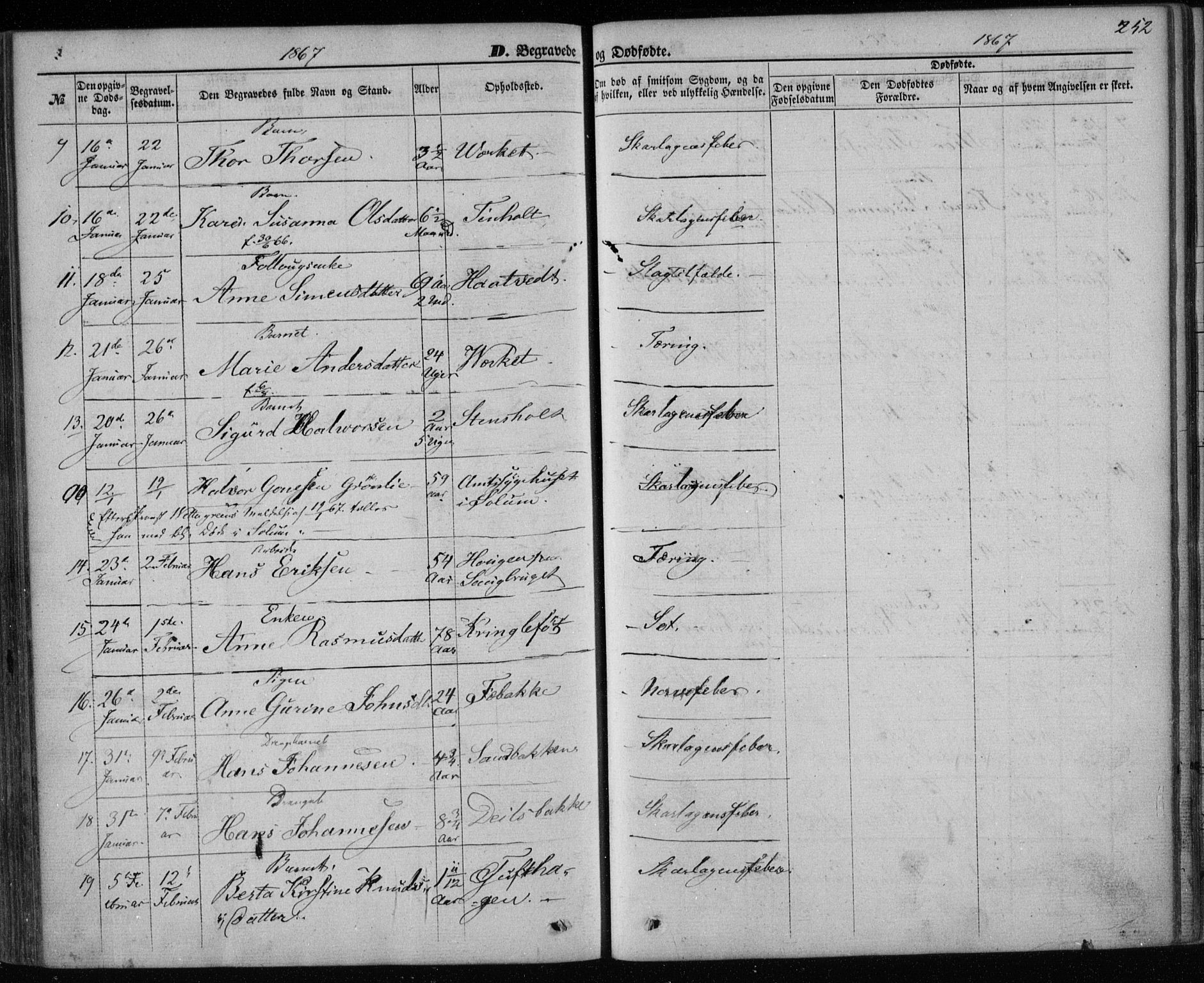 Holla kirkebøker, SAKO/A-272/F/Fa/L0006: Parish register (official) no. 6, 1861-1869, p. 252
